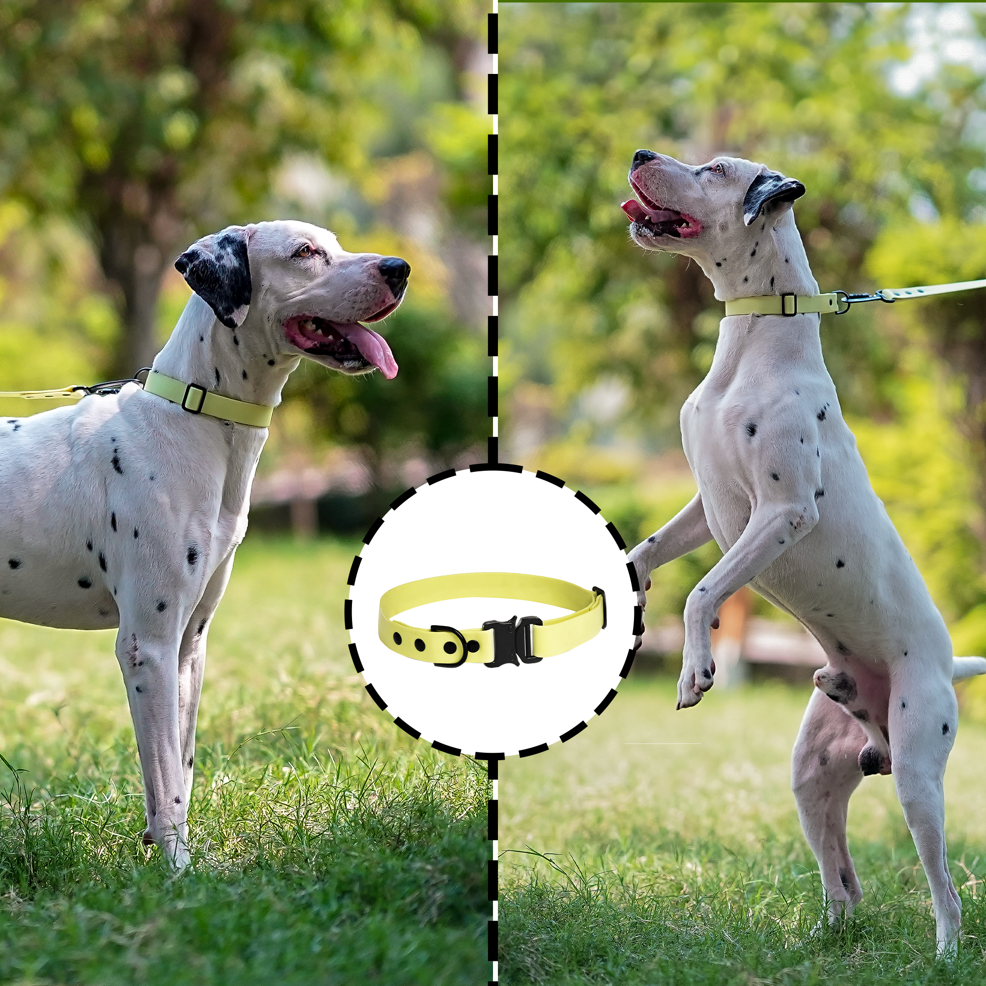 Adil’S Biothane Dog Collar - Waterproof Heavy Duty Dog Collars with Quick Release Buckle & D-Ring