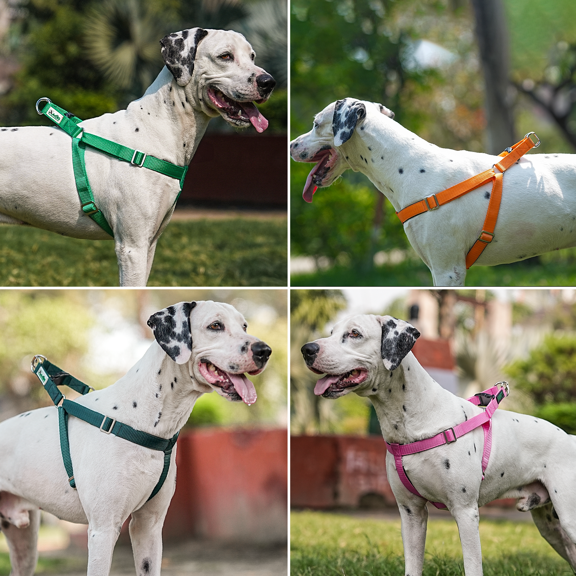 Adils H-shape harness for Walking Training Hiking & Outdoor Activities