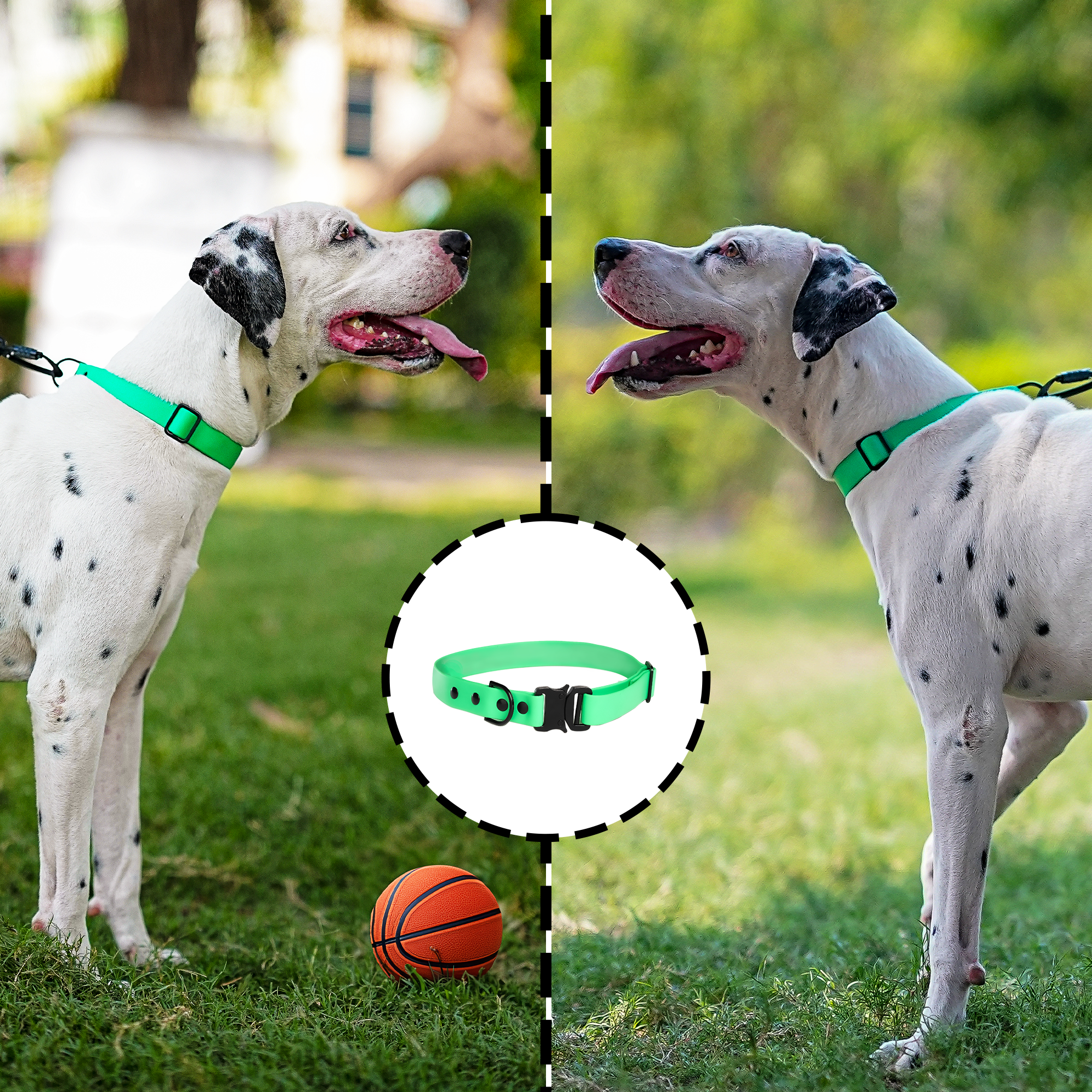 Adil’S Biothane Dog Collar - Waterproof Heavy Duty Dog Collars with Quick Release Buckle & D-Ring