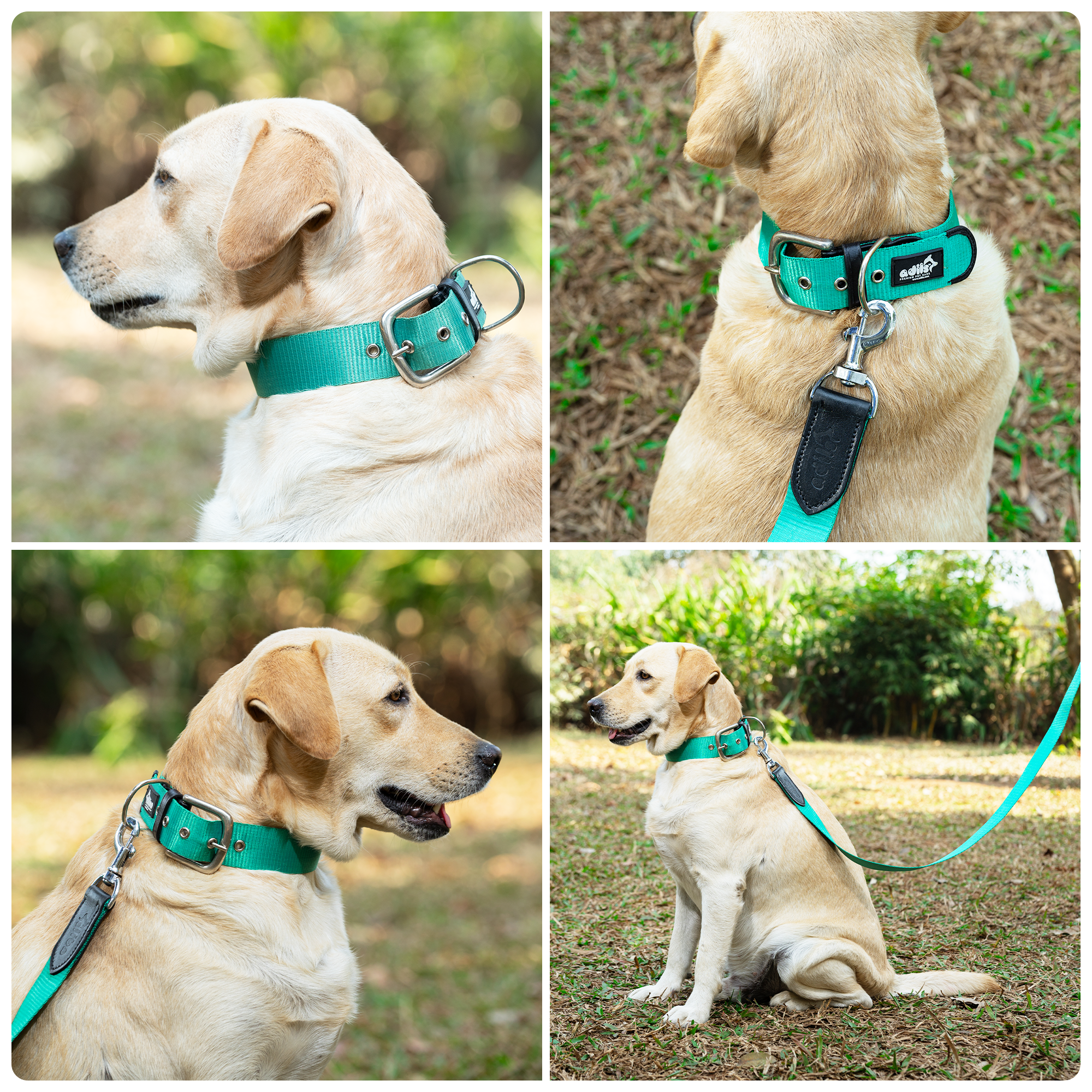 Adil’s Nylon Dog Collar & Leash Combo Set 1.5 Inch Wide Adjustable Collar with Strong Metal Buckle & D-Ring, 5 Ft Durable Leash with 360° Swivel Hook Pets