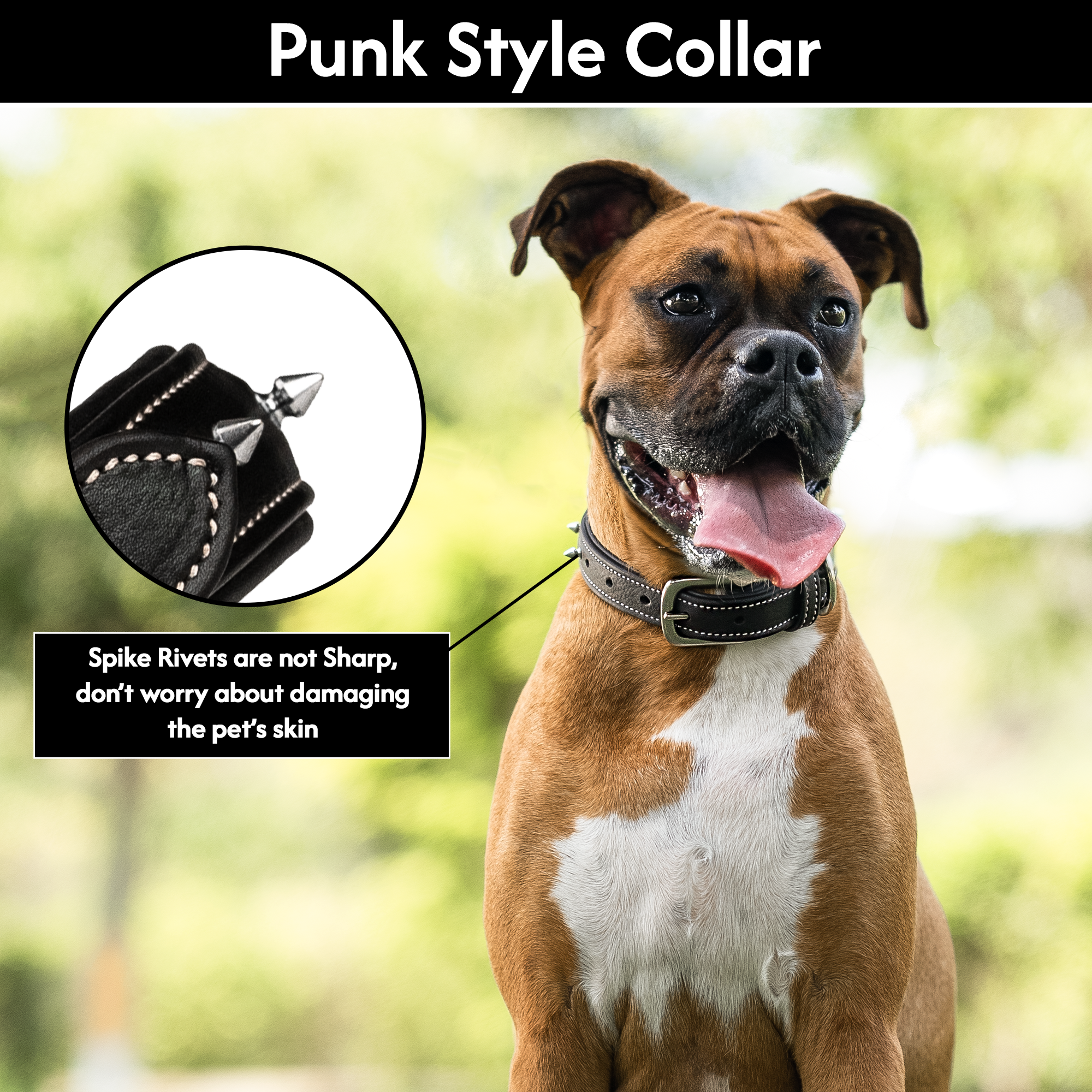 Adil's Spiked Softy Leather Dog Collar with Mushroom Rivet Studs - Adjustable for All Breeds, Metal Buckle & D-Ring
