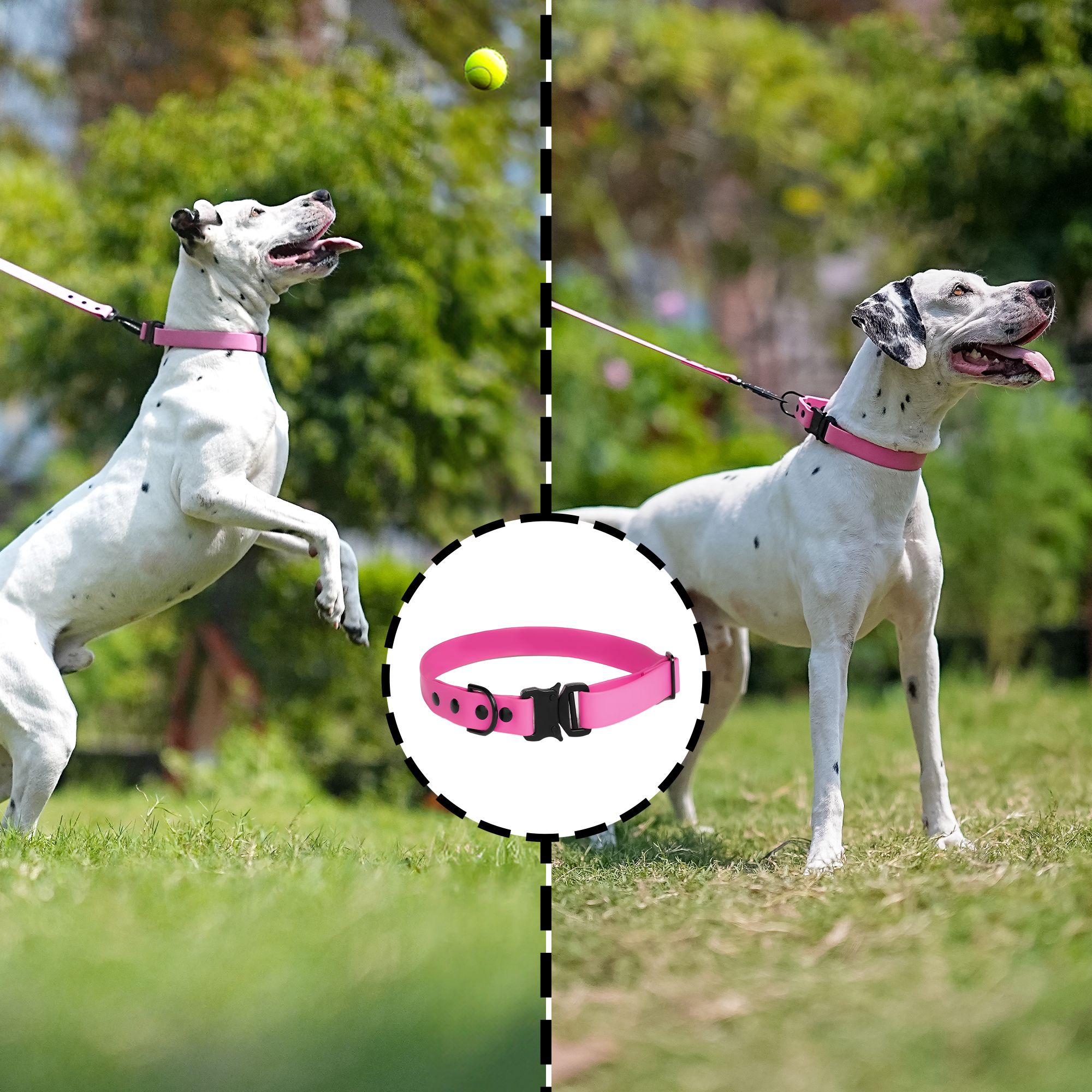 Adil’S Biothane Dog Collar - Waterproof Heavy Duty Dog Collars with Quick Release Buckle & D-Ring