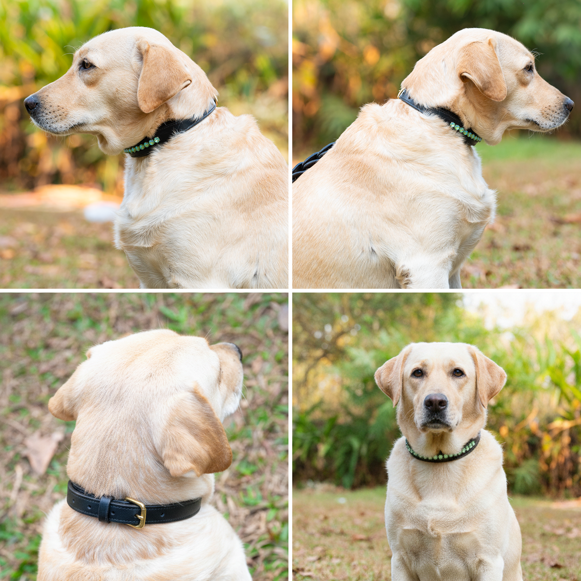 Adil’s Crystal Dog Collar, 1 inch Wide Green Gemstone Chain Leather Dog Collars for Small Medium Large Dogs, Adjustable Collars with Strong Metal Buckle & D-Ring