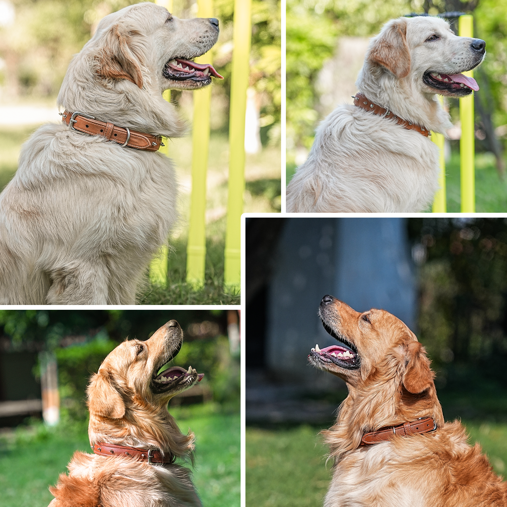 Adil's Spiked Softy Leather Dog Collar with Mushroom Rivet Studs - Adjustable for All Breeds, Metal Buckle & D-Ring