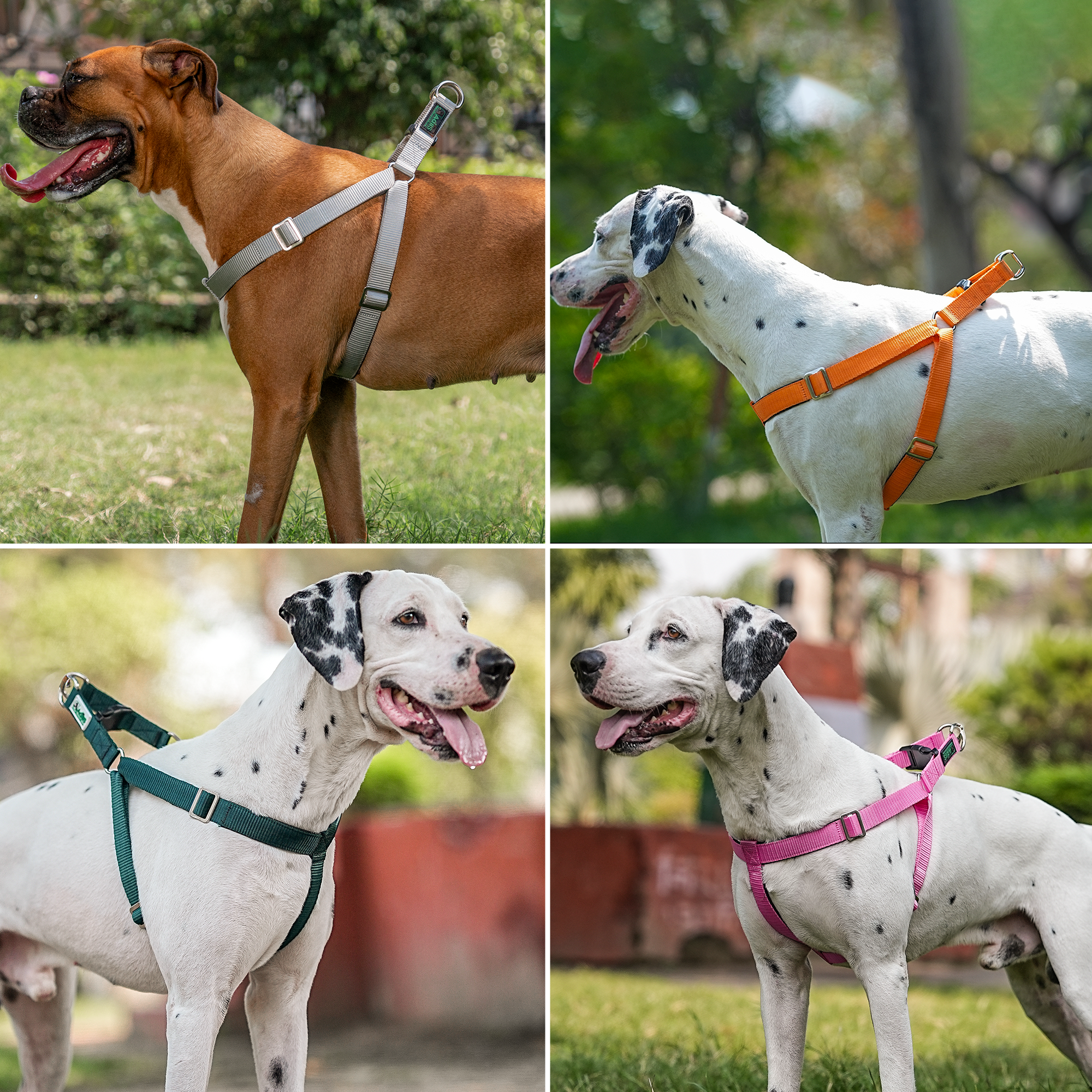 Adils H-shape harness for Walking Training Hiking & Outdoor Activities