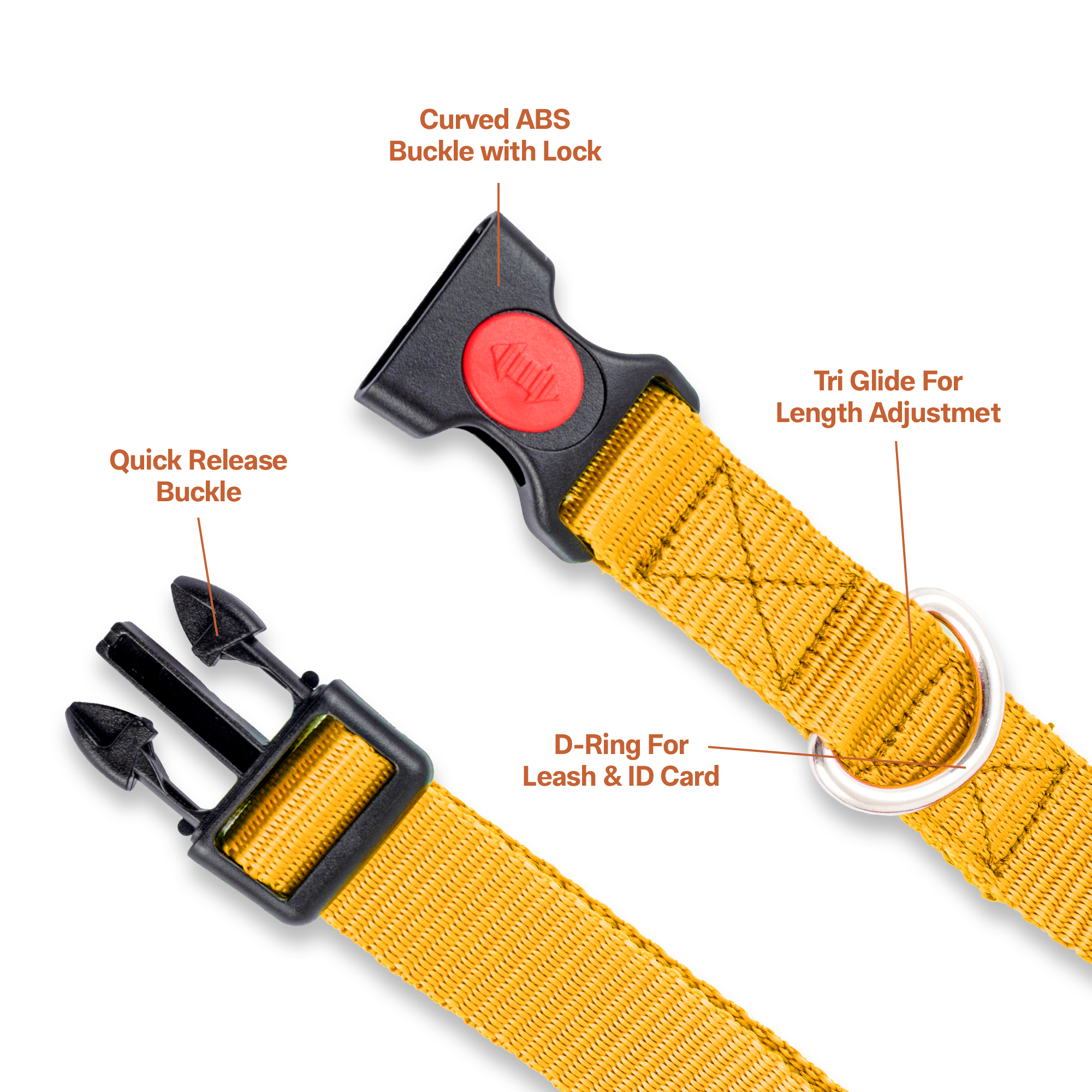 Adil's Nylon Dog Collar & Reflective Leash Set - Soft Padded, 5ft for All Breeds