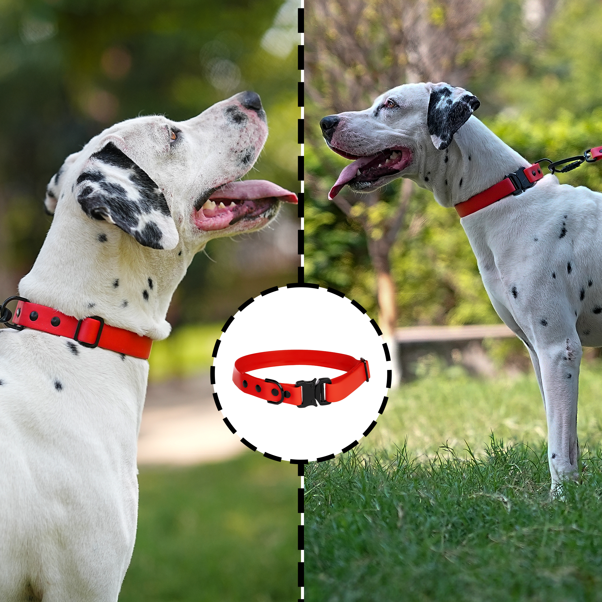 Adil’S Biothane Dog Collar - Waterproof Heavy Duty Dog Collars with Quick Release Buckle & D-Ring