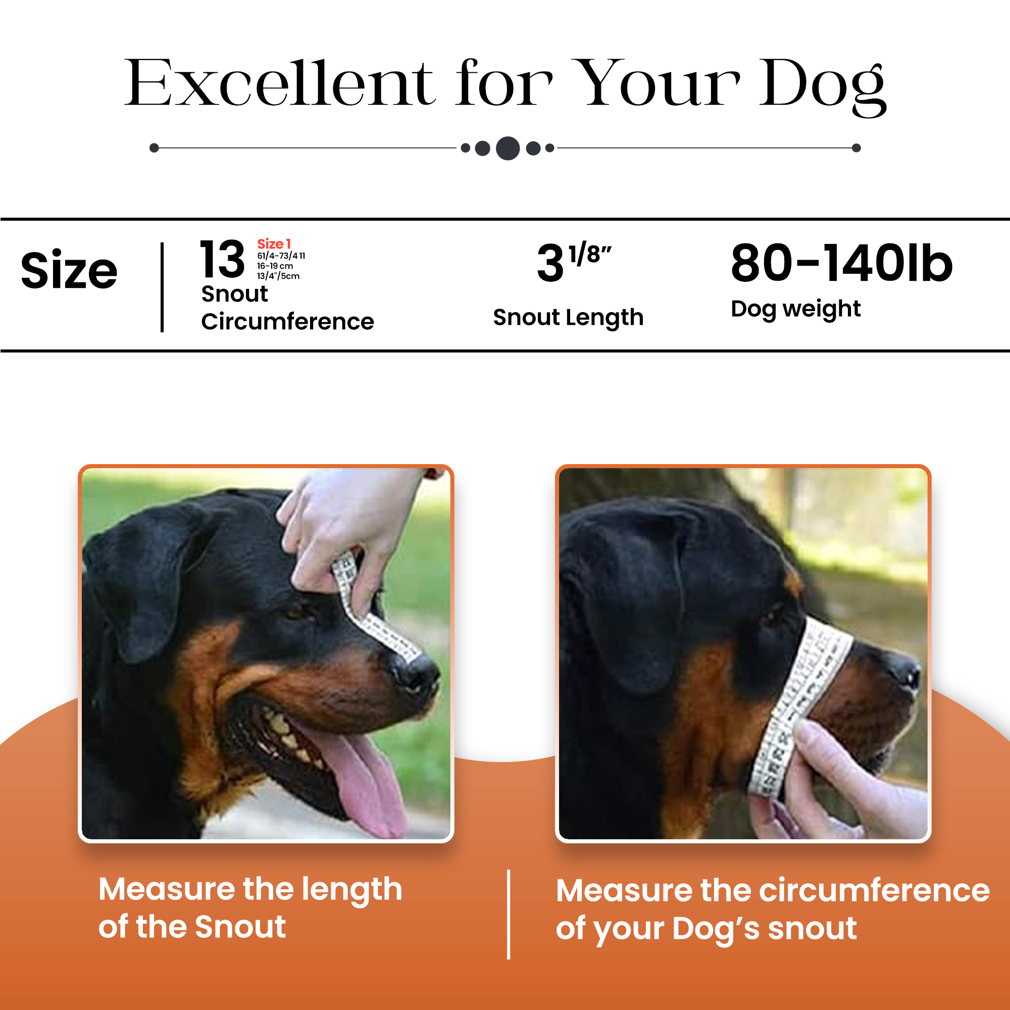 Adil's Soft Padded Steel Dog Muzzle – Comfortable & Durable Safety Solution