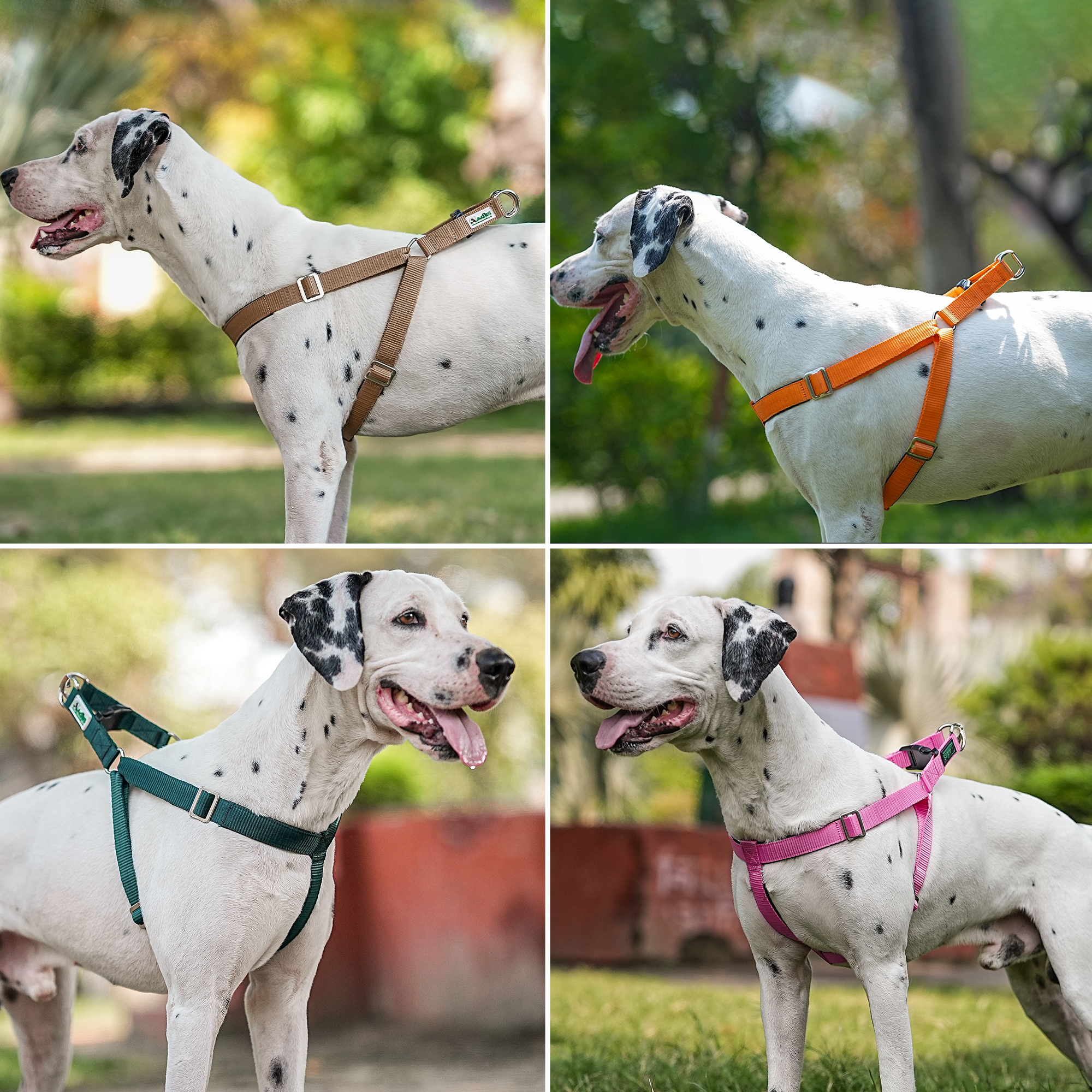 Adils H-shape harness for Walking Training Hiking & Outdoor Activities