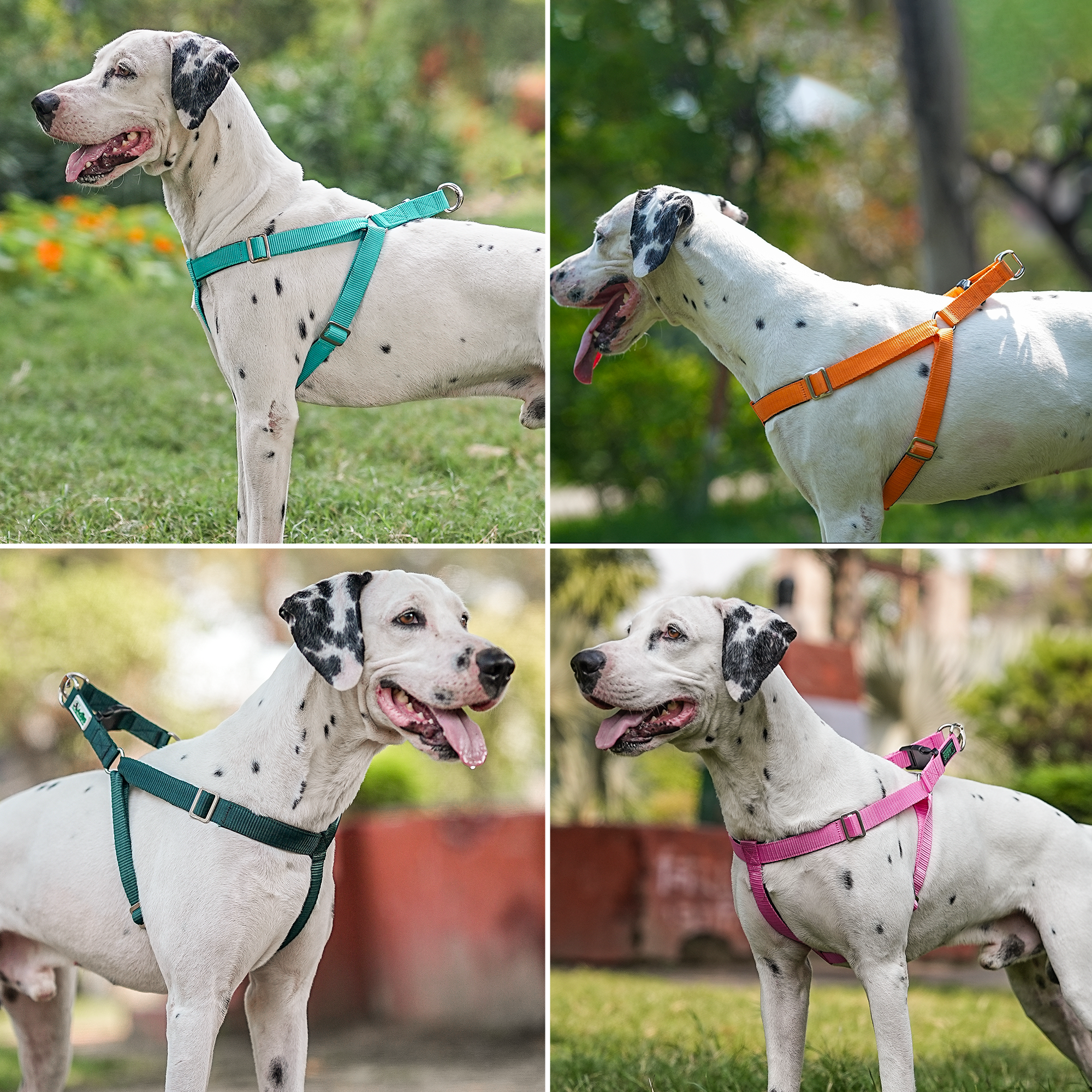 Adils H-shape harness for Walking Training Hiking & Outdoor Activities