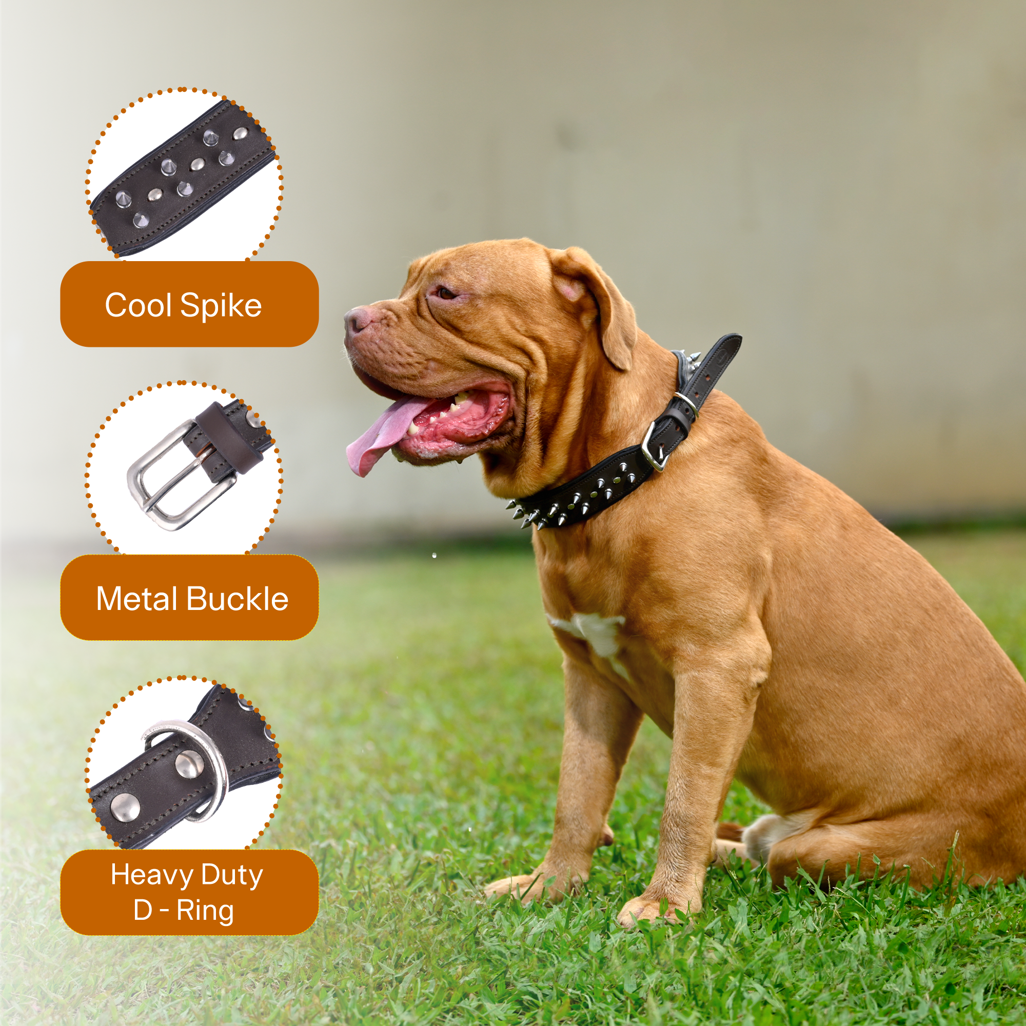 ADIL's Adjustable Spike Studded Dog Collars, Durable Leather Spike Pet Collars For Small Medium & Large Breeds, Strong Metal D-Right & Buckle 1.5 cm