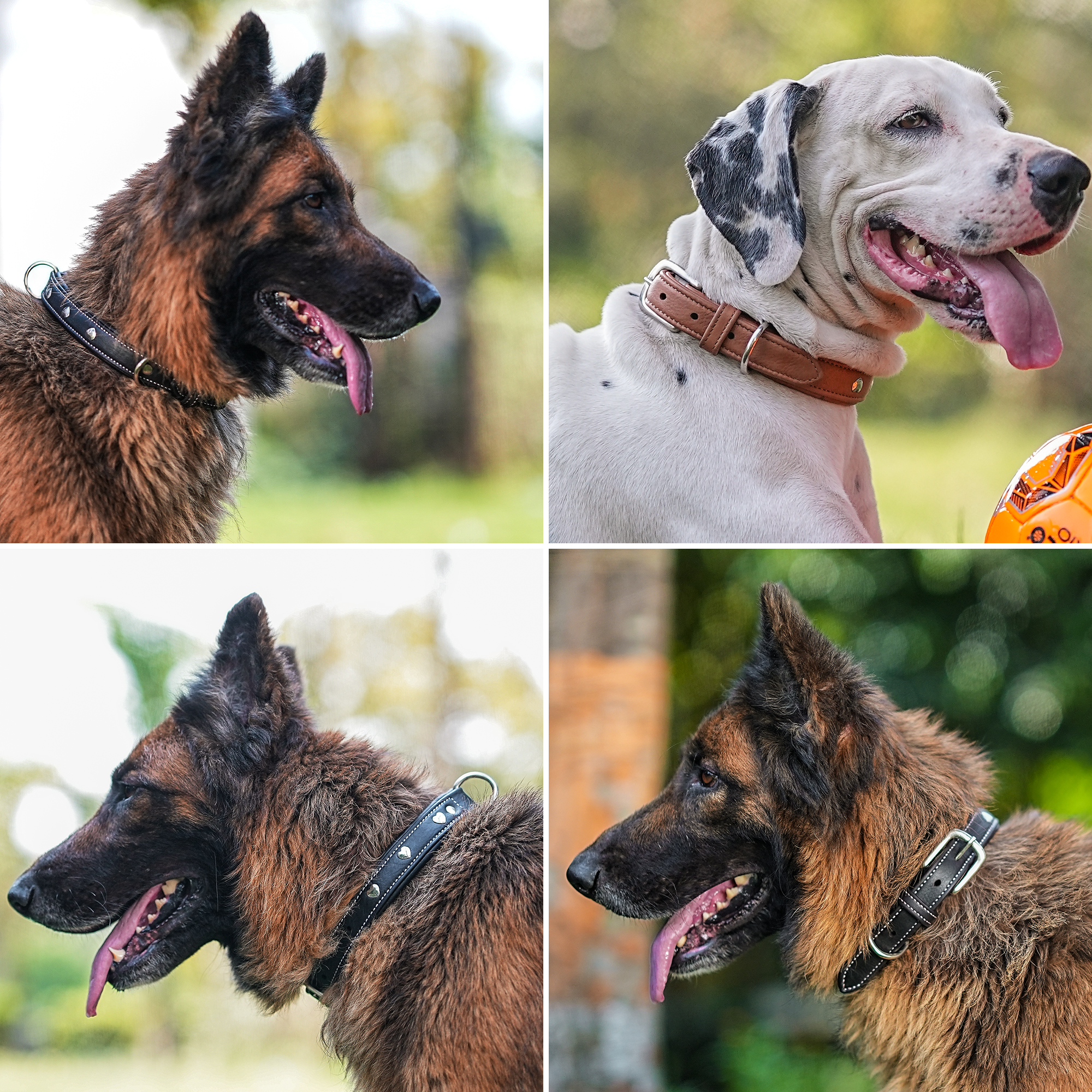 Adil'S Genuine Leather Heart Studded Dog Collar 1in Width, Neck Size: 12" to 26", Cognac Leather Dog Collar with Soft Padding, Sturdy & Strong D-Ring for leashes & ID Card