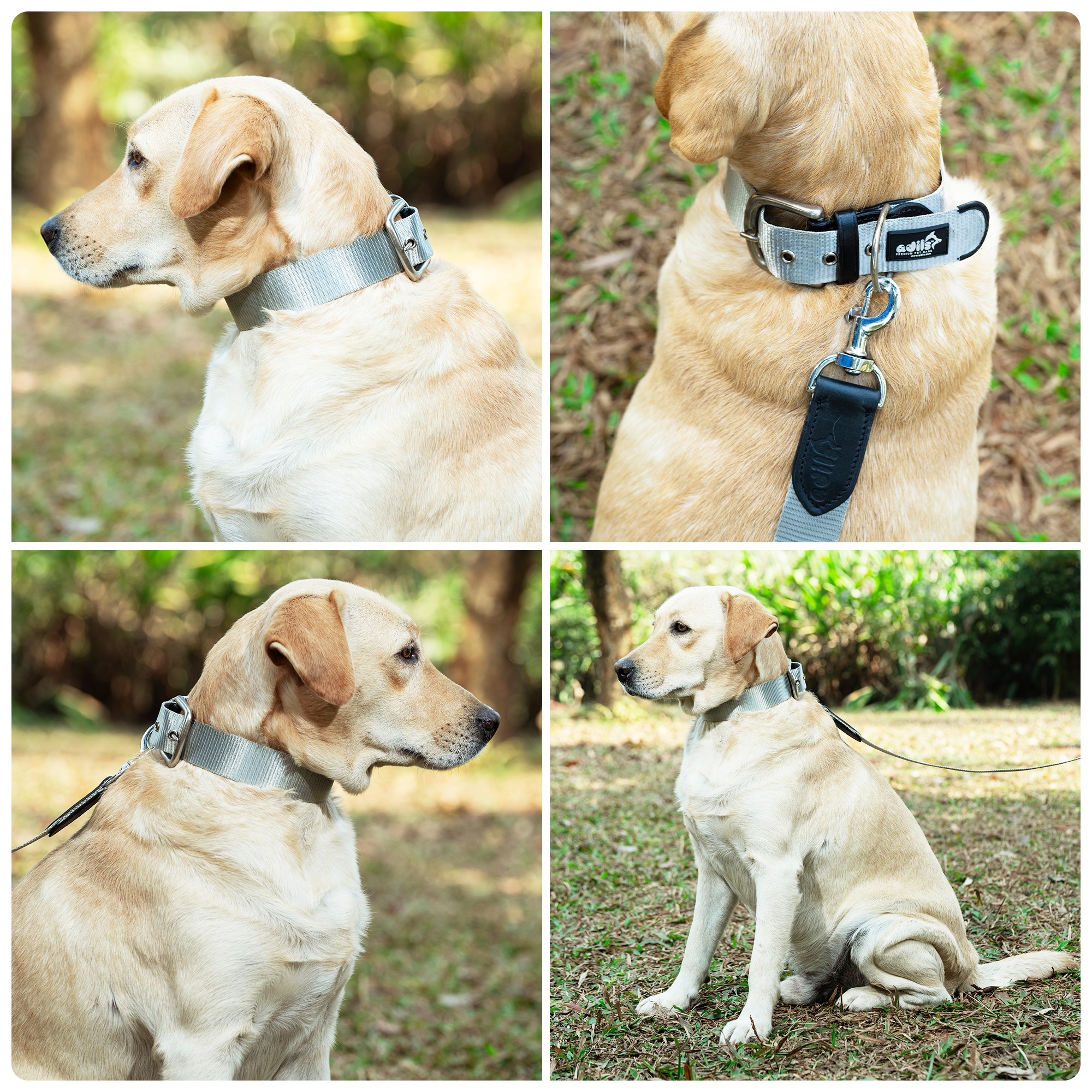 Adil’s Nylon Dog Collar & Leash Combo Set 1.5 Inch Wide Adjustable Collar with Strong Metal Buckle & D-Ring, 5 Ft Durable Leash with 360° Swivel Hook Pets
