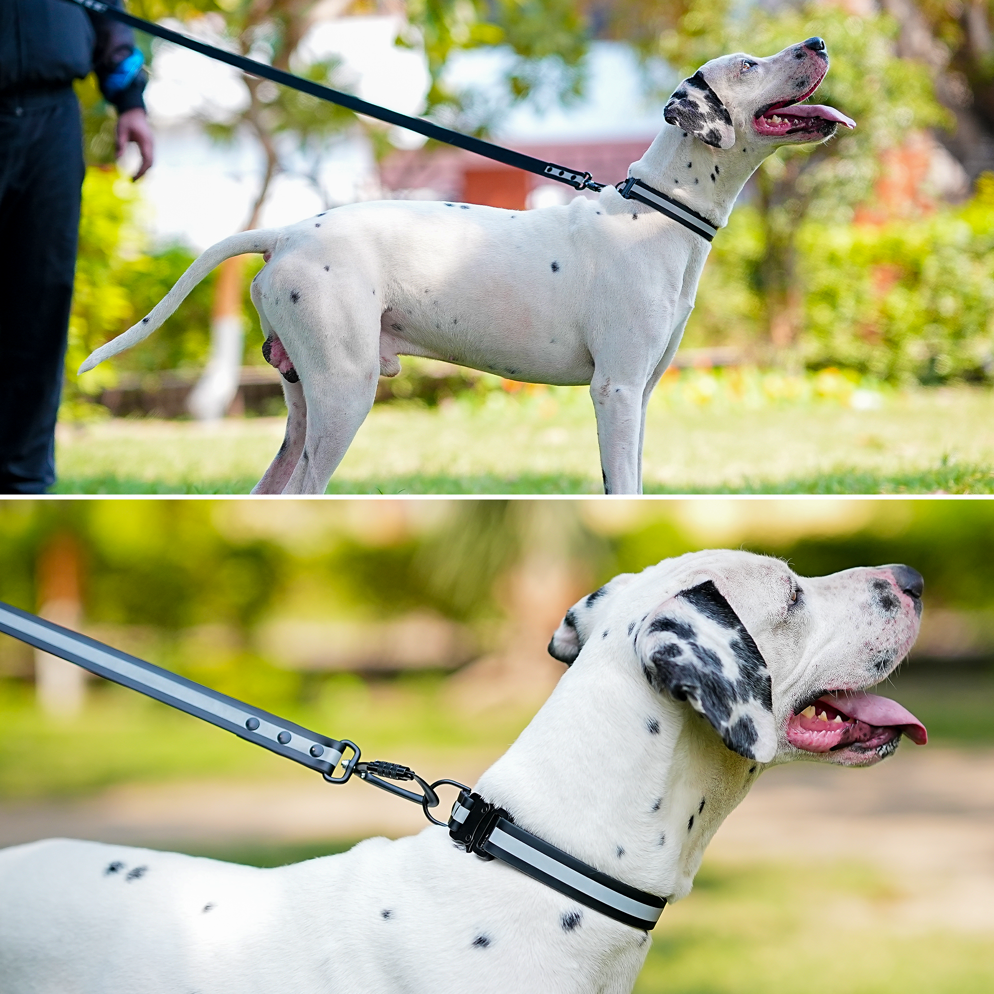 Adil'S Biothane Reflective Dog Collar 1 inch Width - Waterproof Heavy Duty Dog Collars with Quick Release Buckle & D-Ring for leashes Fits Small, Large & Medium Dogs