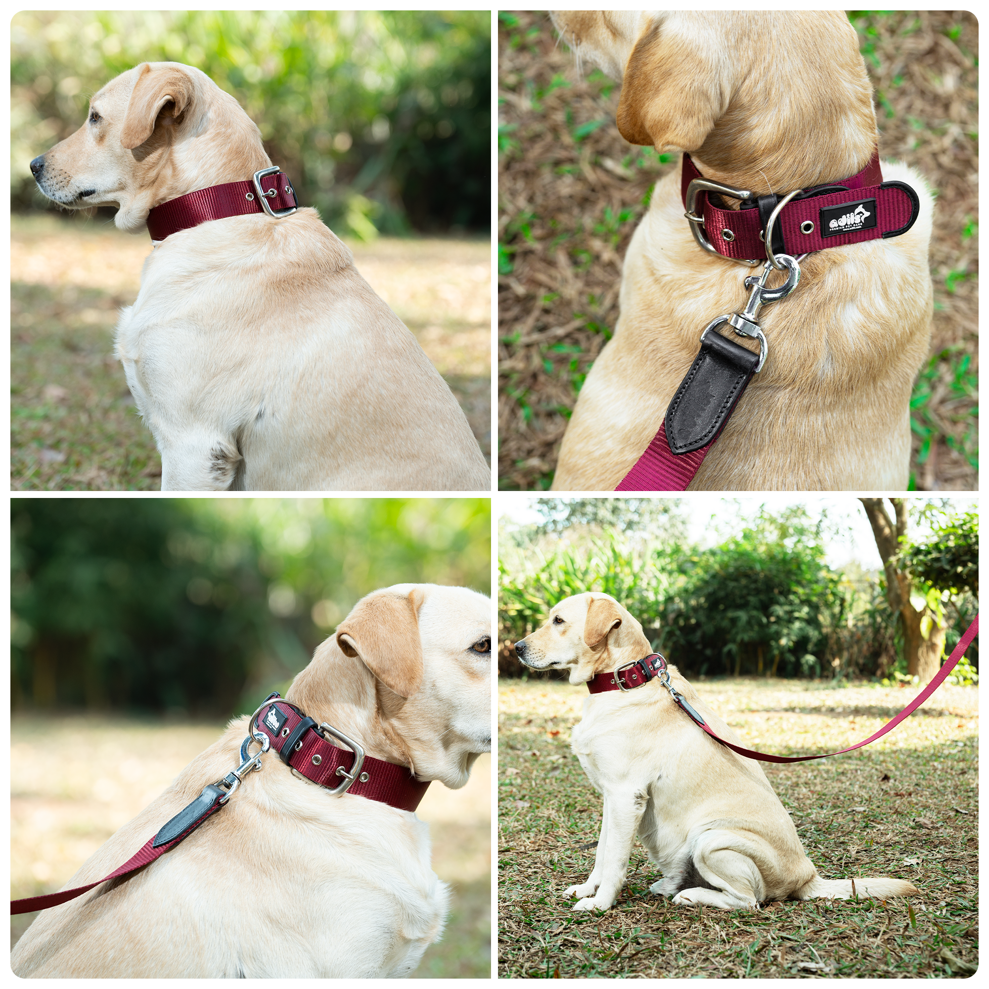 Adil’s Nylon Dog Collar & Leash Combo Set 1.5 Inch Wide Adjustable Collar with Strong Metal Buckle & D-Ring, 5 Ft Durable Leash with 360° Swivel Hook Pets
