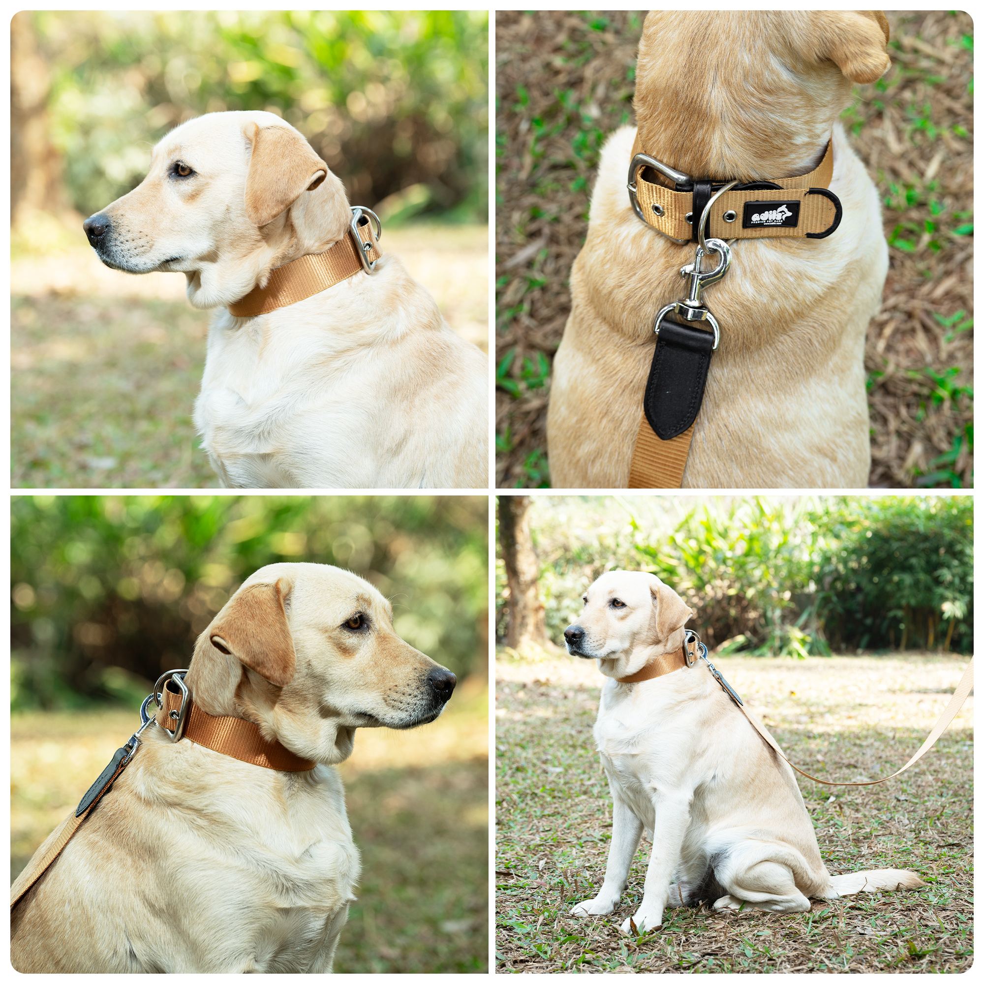 Adil’s Nylon Dog Collar & Leash Combo Set 1.5 Inch Wide Adjustable Collar with Strong Metal Buckle & D-Ring, 5 Ft Durable Leash with 360° Swivel Hook Pets