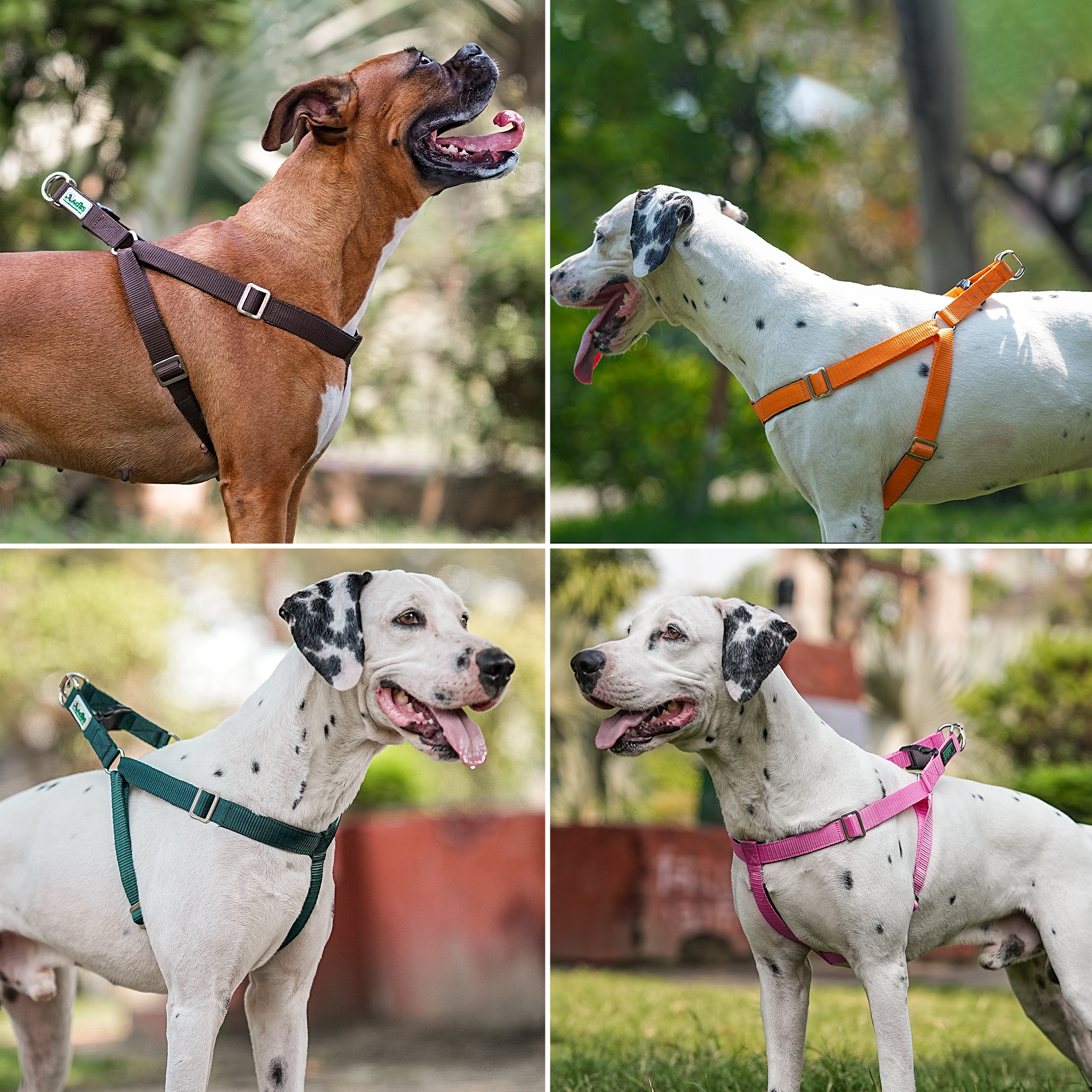 Adils H-shape harness for Walking Training Hiking & Outdoor Activities