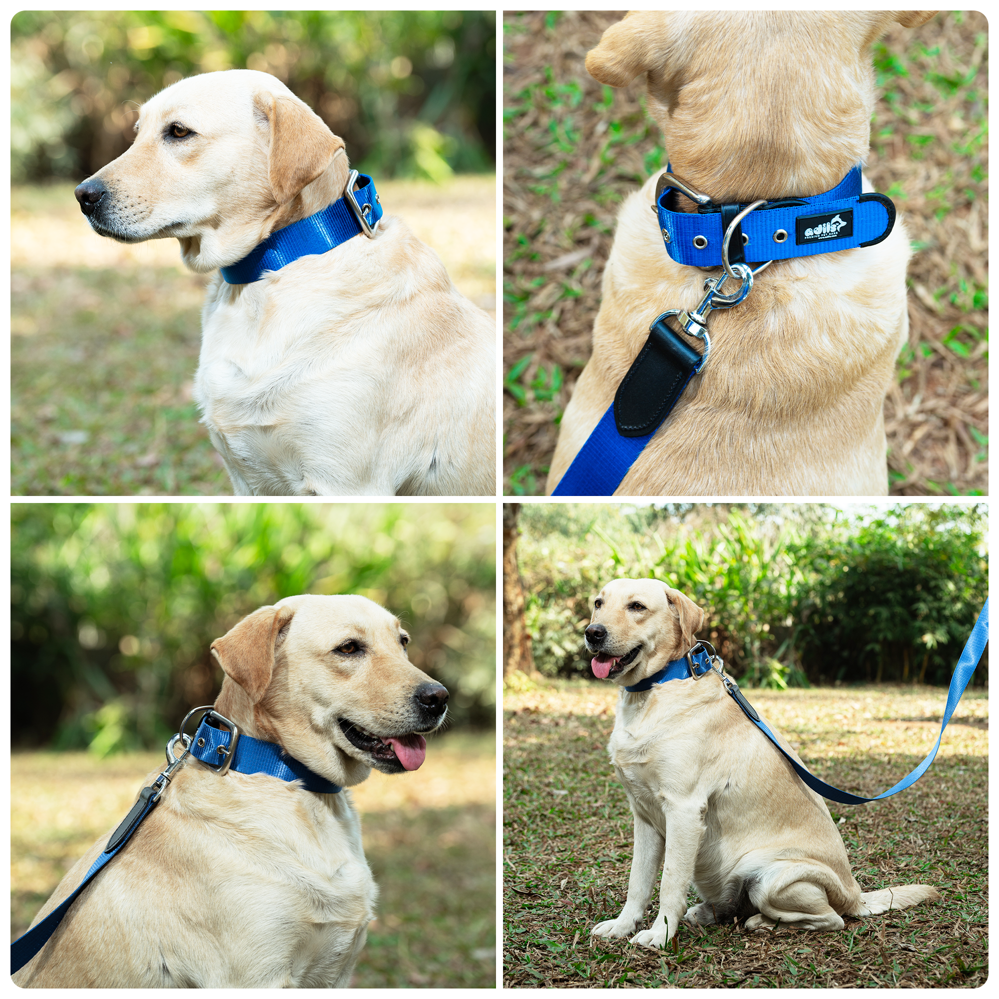 Adil’s Nylon Dog Collar & Leash Combo Set 1.5 Inch Wide Adjustable Collar with Strong Metal Buckle & D-Ring, 5 Ft Durable Leash with 360° Swivel Hook Pets