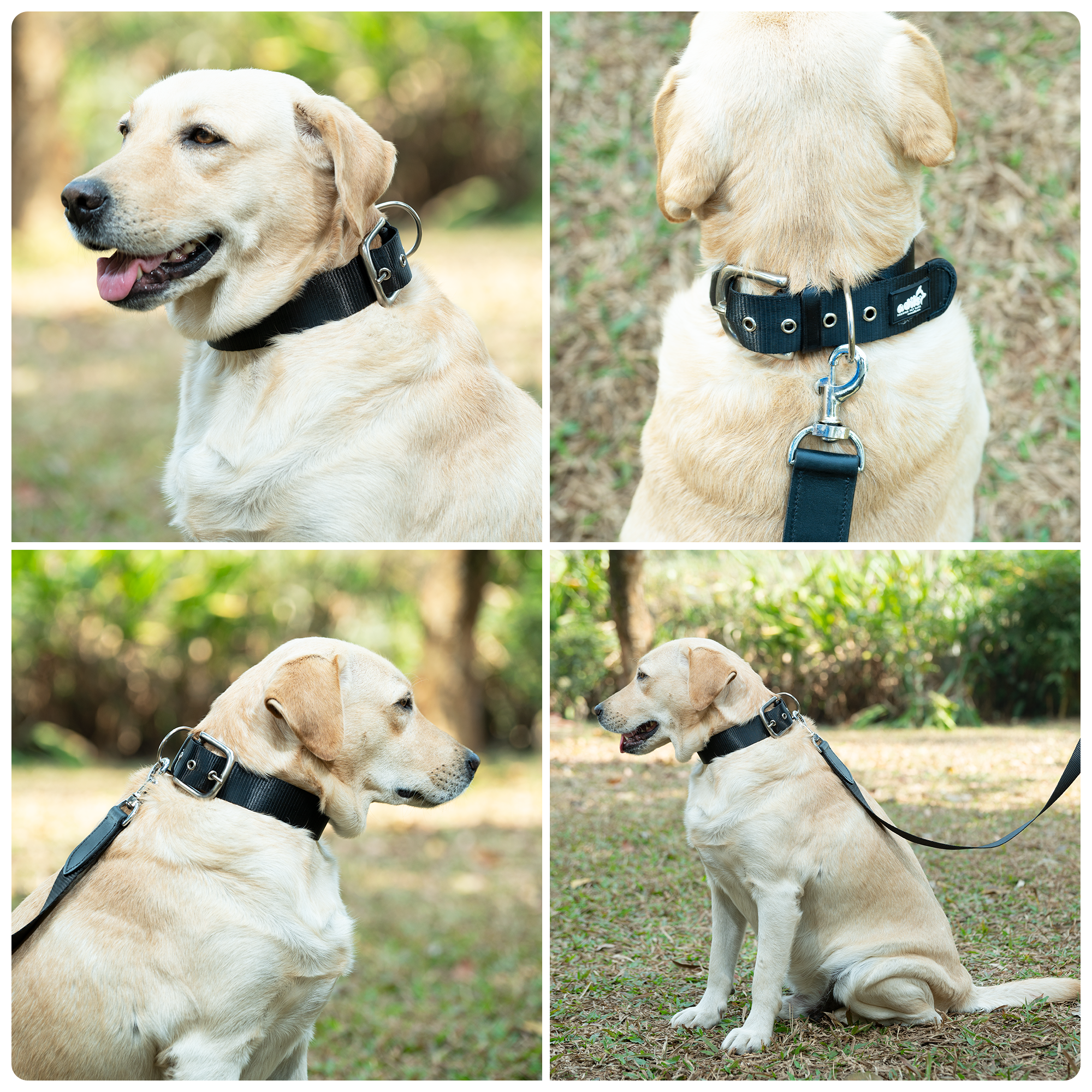 Adil’s Nylon Dog Collar & Leash Combo Set 1.5 Inch Wide Adjustable Collar with Strong Metal Buckle & D-Ring, 5 Ft Durable Leash with 360° Swivel Hook Pets