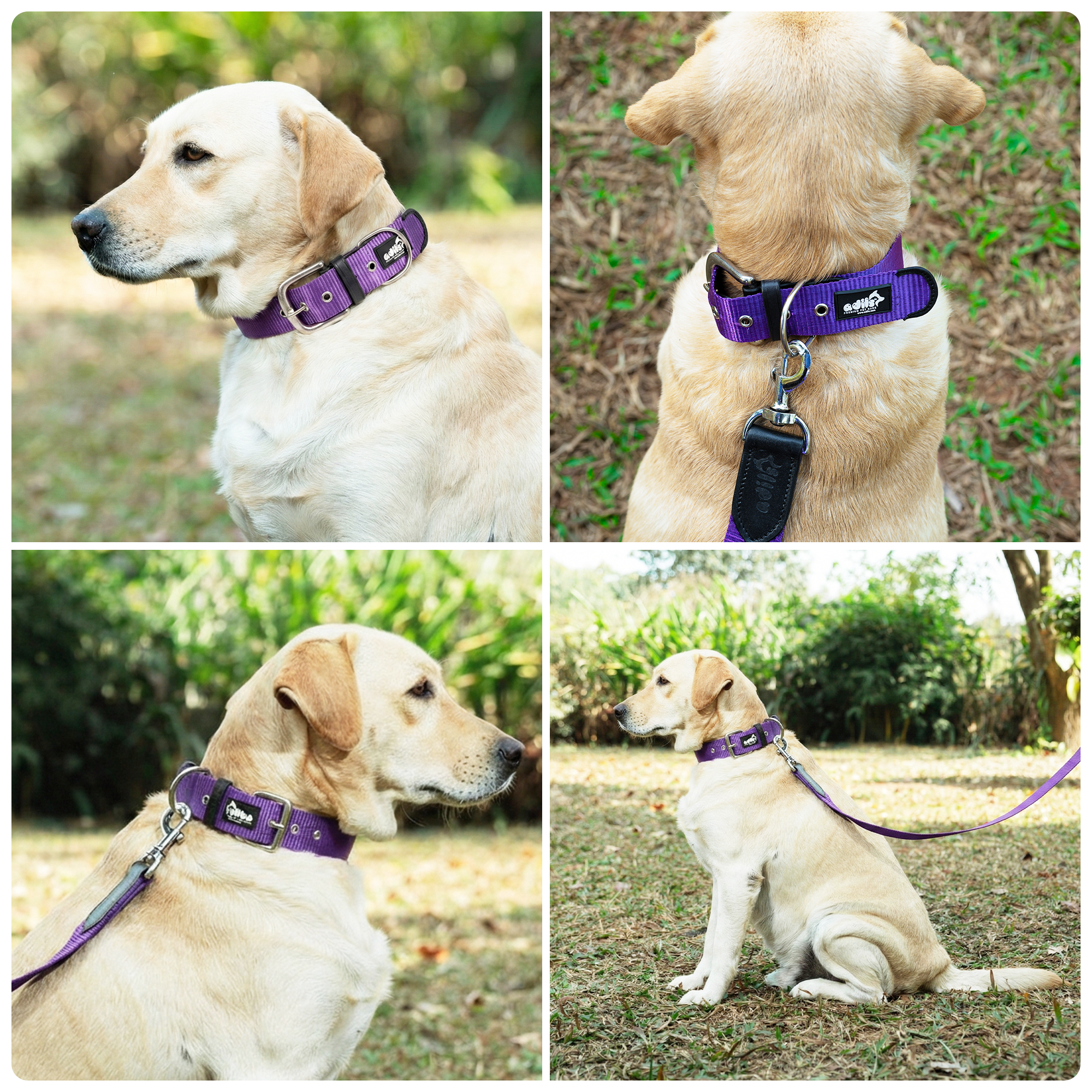 Adil’s Nylon Dog Collar & Leash Combo Set 1.5 Inch Wide Adjustable Collar with Strong Metal Buckle & D-Ring, 5 Ft Durable Leash with 360° Swivel Hook Pets