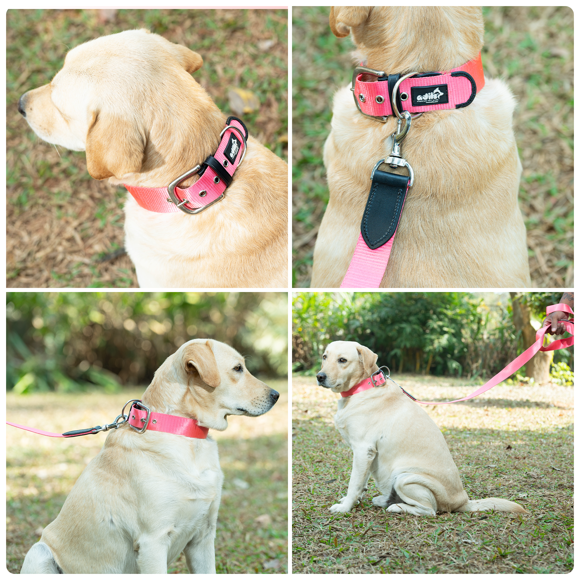 Adil’s Nylon Dog Collar & Leash Combo Set 1.5 Inch Wide Adjustable Collar with Strong Metal Buckle & D-Ring, 5 Ft Durable Leash with 360° Swivel Hook Pets