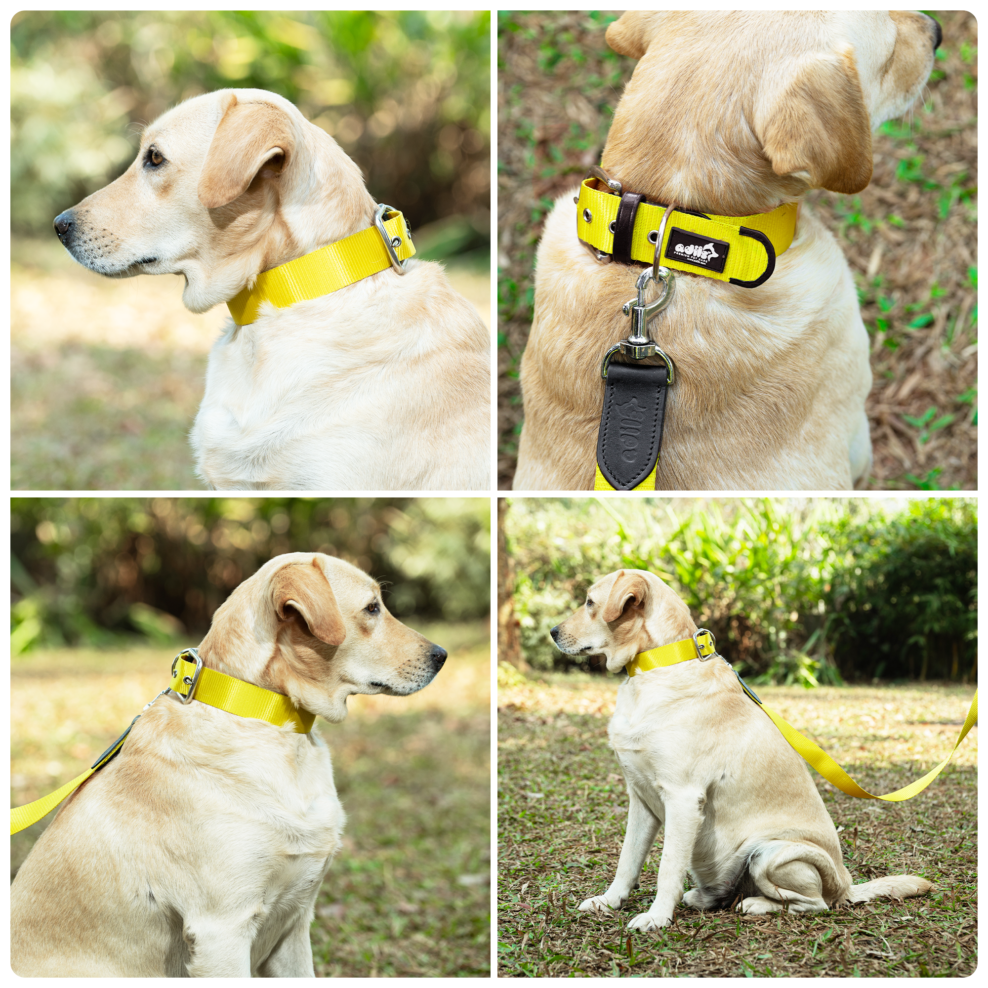 Adil’s Nylon Dog Collar & Leash Combo Set 1.5 Inch Wide Adjustable Collar with Strong Metal Buckle & D-Ring, 5 Ft Durable Leash with 360° Swivel Hook Pets