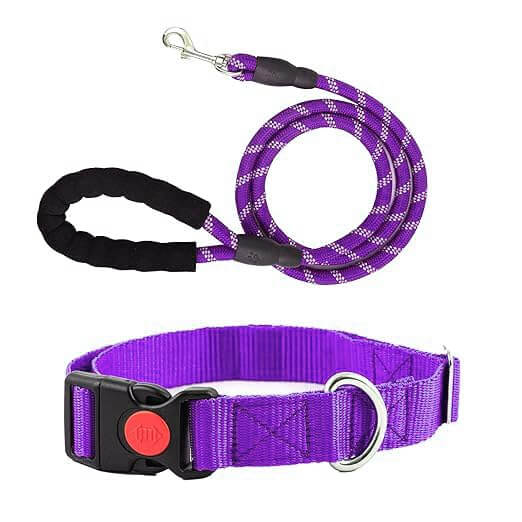 Adil's Nylon Dog Collar & Reflective Leash Set - Soft Padded, 5ft for All Breeds