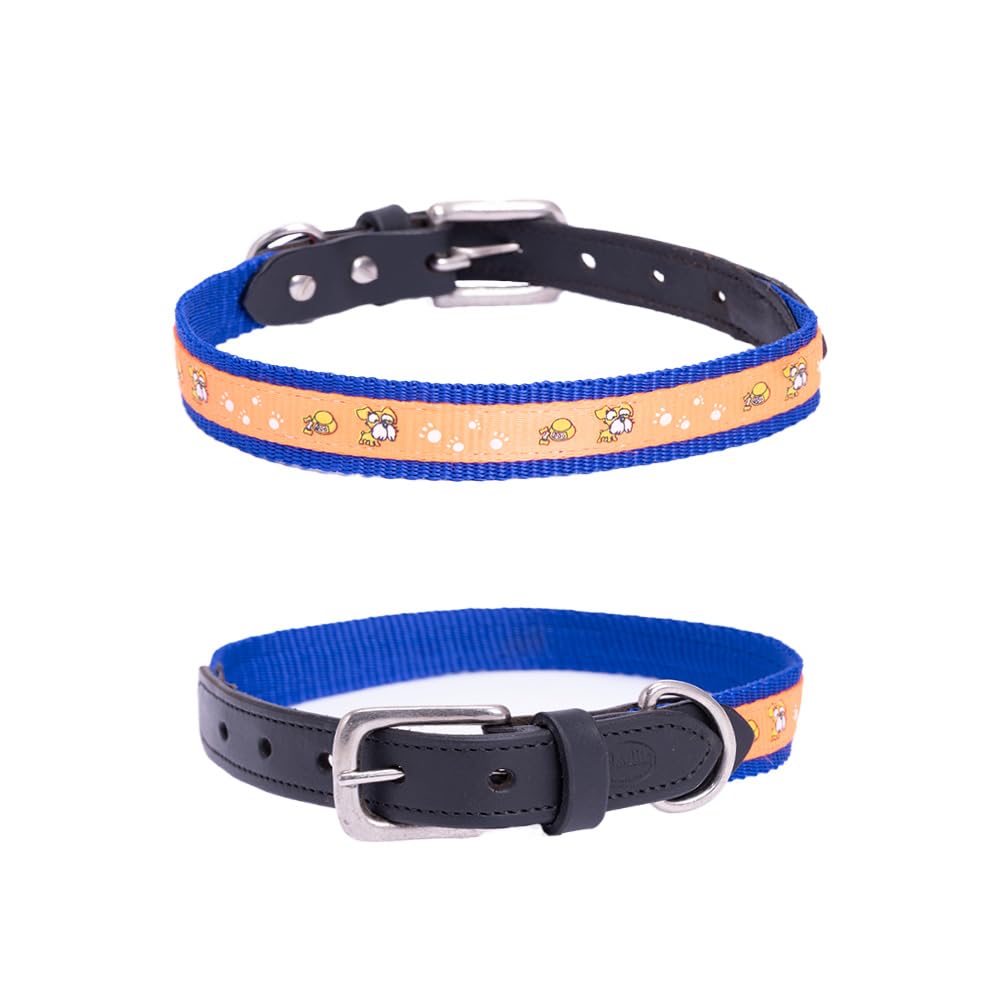 Nylon Dog Collar with Paw Print, Adjustable Metal Buckle