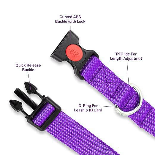 Adil's Nylon Dog Collar & Reflective Leash Set - Soft Padded, 5ft for All Breeds