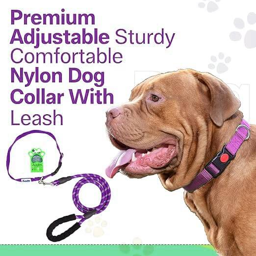 Adil's Nylon Dog Collar & Reflective Leash Set - Soft Padded, 5ft for All Breeds
