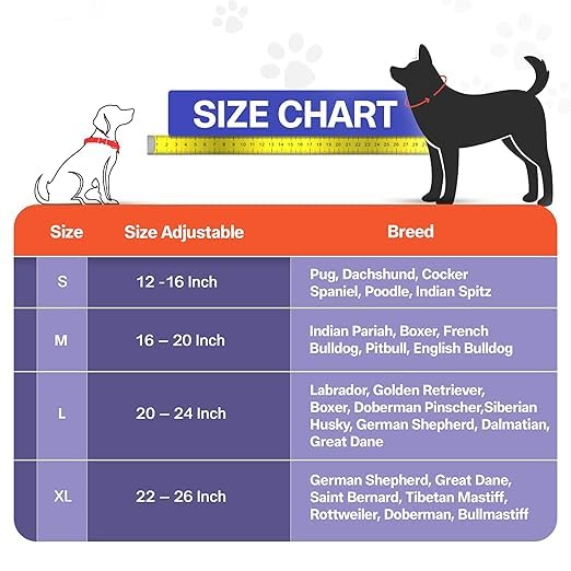 Adil’S Soft Leather Personalized Dog Collar for Large Medium Small Dogs Neck Collar with Personalized Dog Name in Neck Size 12 Inch to 26 Inch