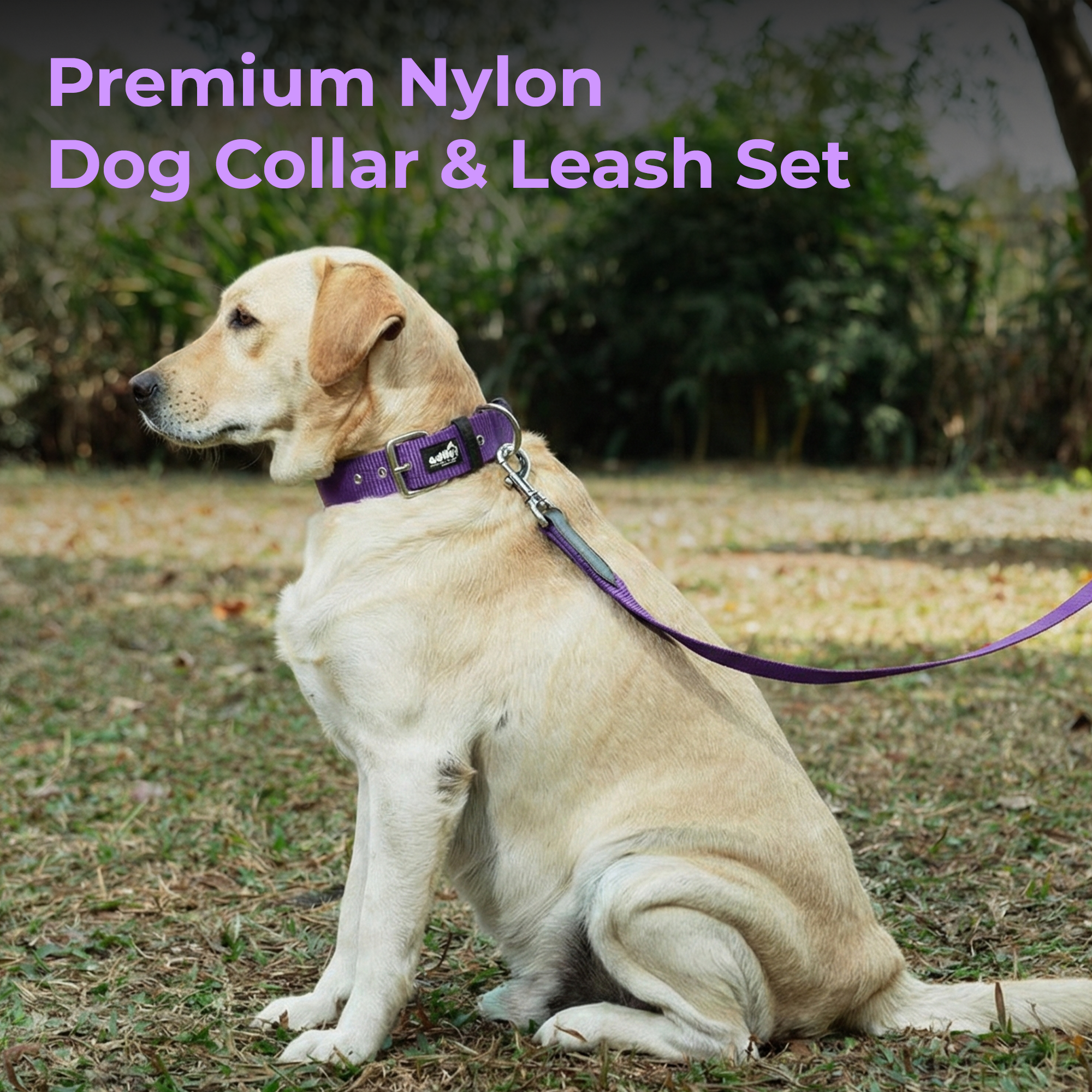Adil’s Nylon Dog Collar & Leash Combo Set 1.5 Inch Wide Adjustable Collar with Strong Metal Buckle & D-Ring, 5 Ft Durable Leash with 360° Swivel Hook Pets