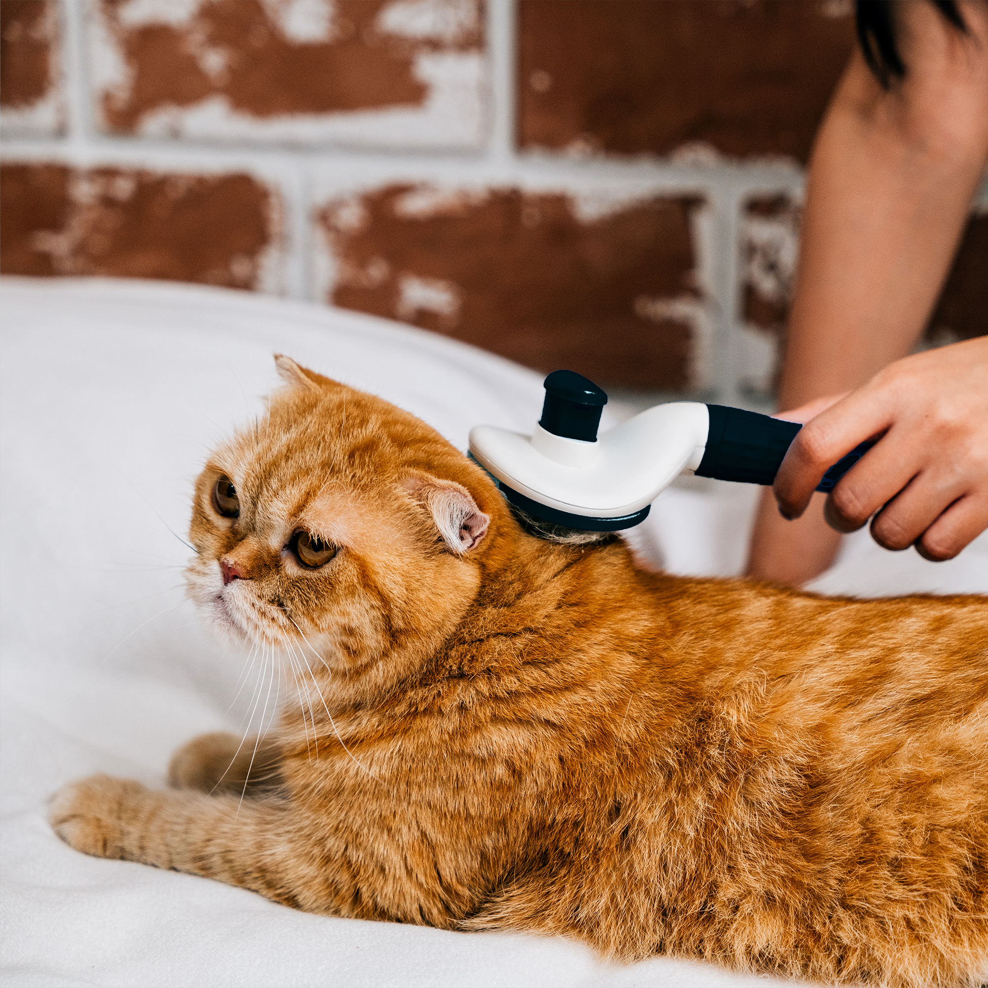 ADIL Self-Cleaning Brush for Dogs, Cats & Bunnies - Pet Grooming Brush