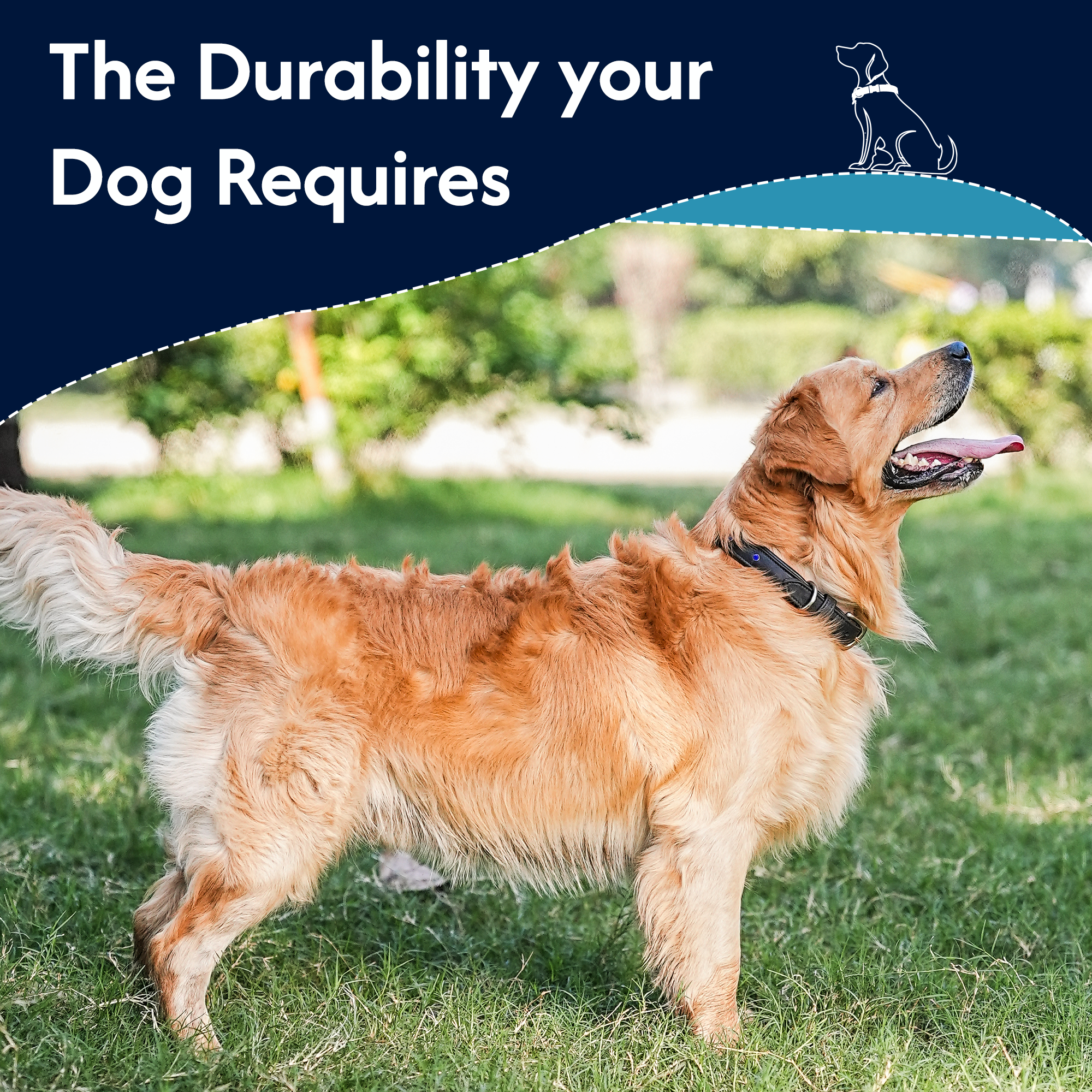 Adil’S Glossy Patent Leather Dog Collar – 1” Wide, Blue Crystal Studded, Classic Blue Stitch, Strong Metal Buckle & D-Ring, Adjustable Neck