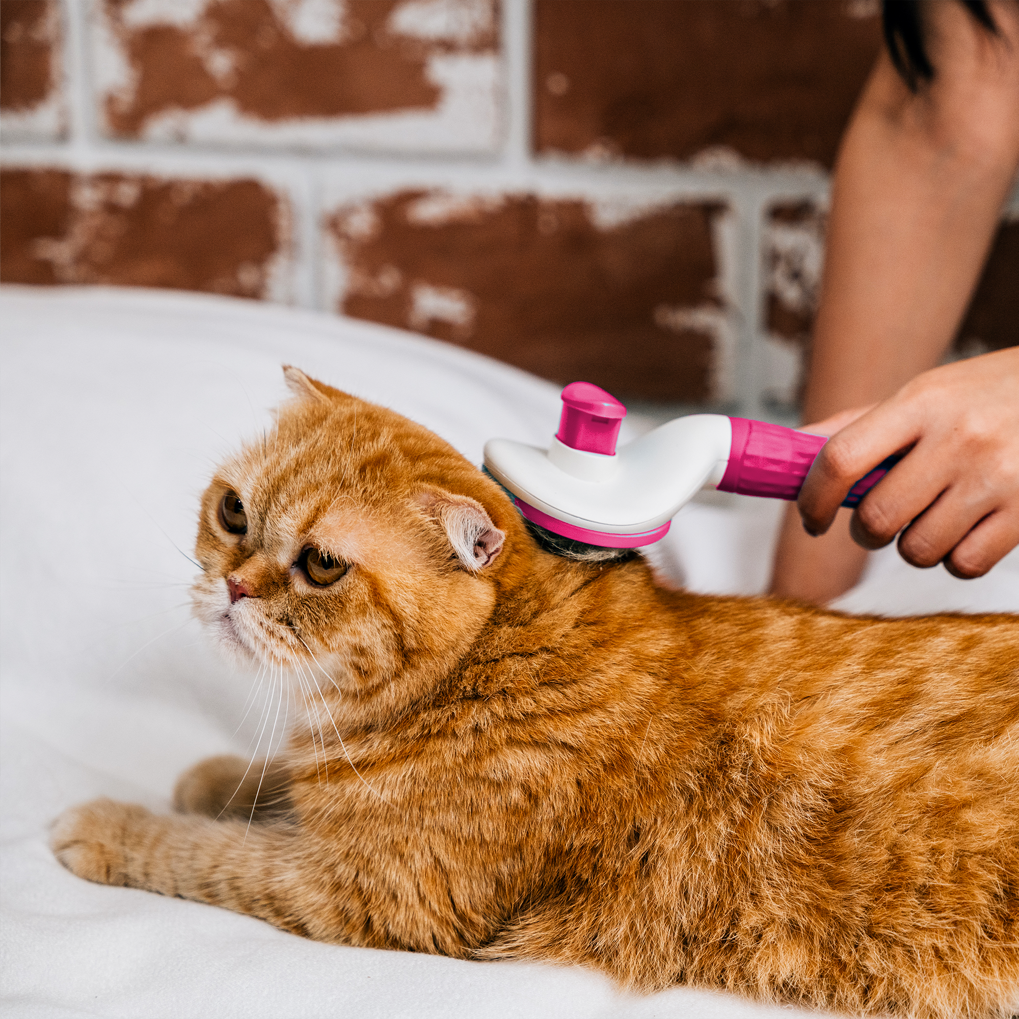 ADIL Self-Cleaning Brush for Dogs, Cats & Bunnies - Pet Grooming Brush