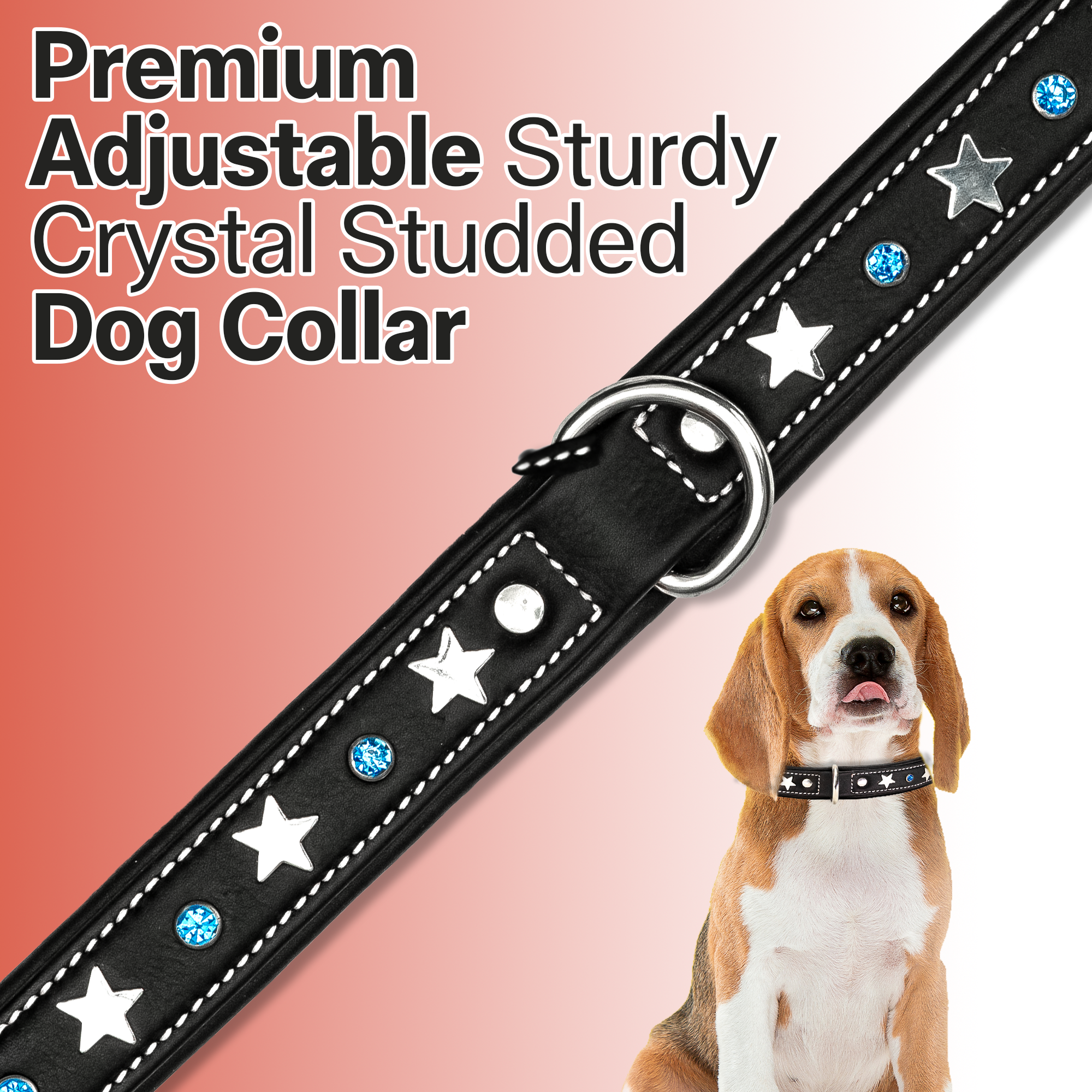 Adjustable Leather Dog Collar with Silver Softy Stars and Blue Accent Studs, 1 inch Width Crystal Studded Classic Design