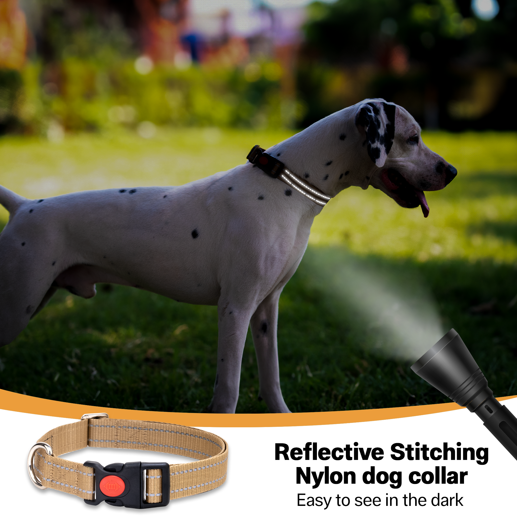 Adil’S Nylon Reflective Dog Collar with Quick Release Strong Plastic Lock Buckle – Suitable for Small, Medium & Large Dogs
