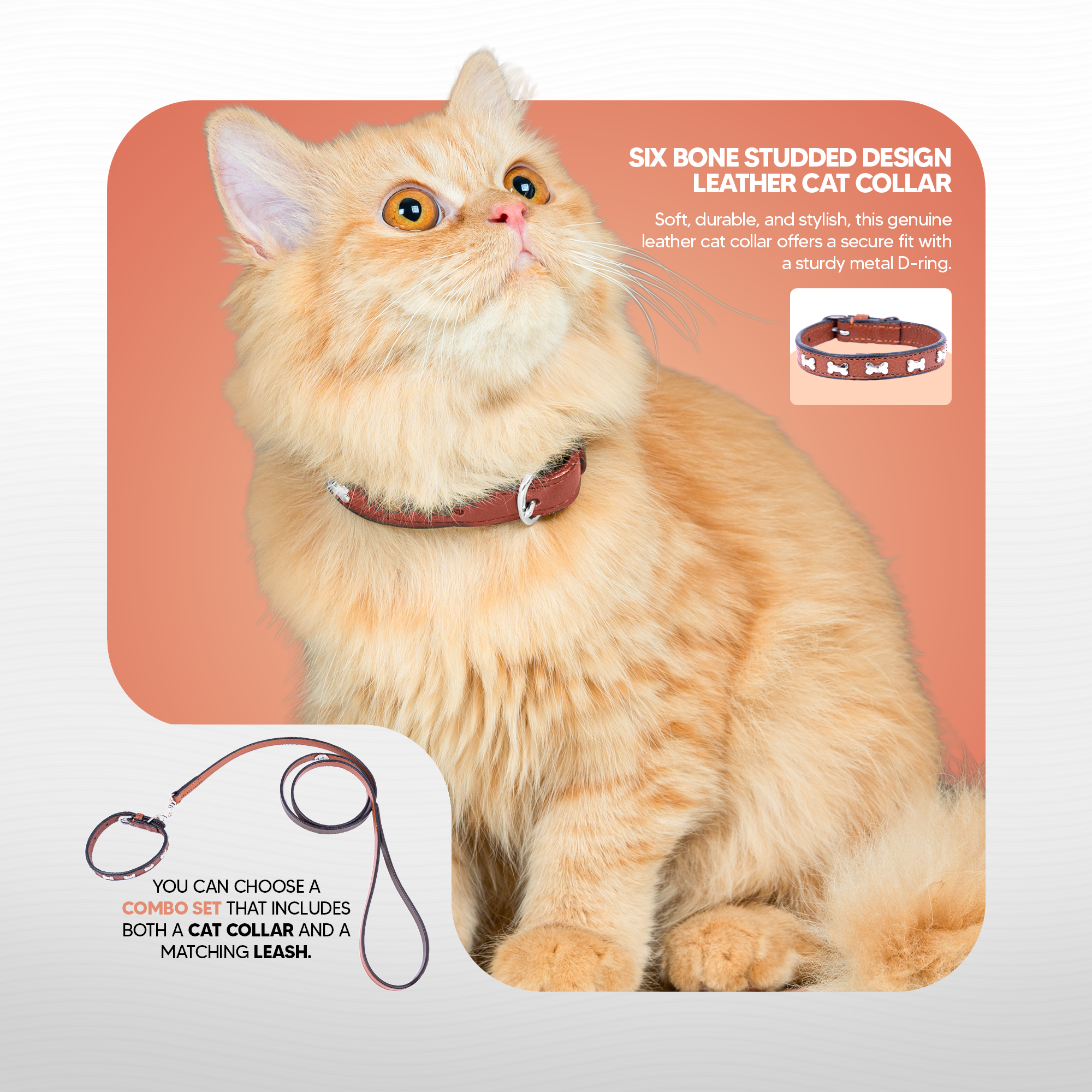 Adil’S Leather Cat Collar - Stylish Six Bone Studded Design, Breakaway Soft pet Collar, Adjustable Metal Buckle with Strong D-Ring for Leash attachments,Comfortable & Secure (Black)