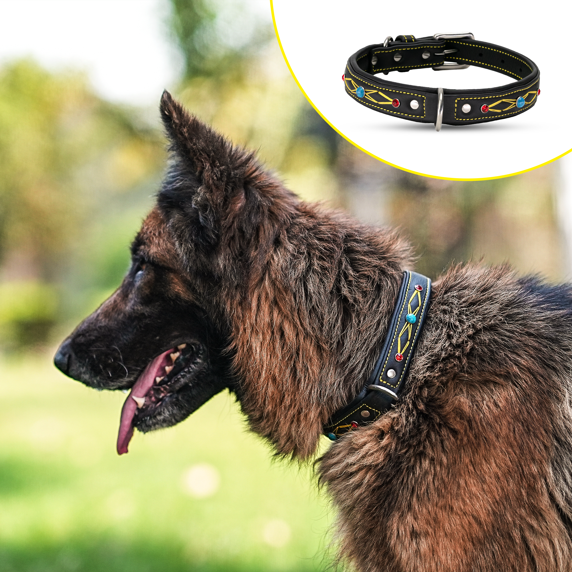 ADIL'S 1-inch Soft Leather Dog Collar Red & Blue Studd With Yellow threadwork Dog Collar