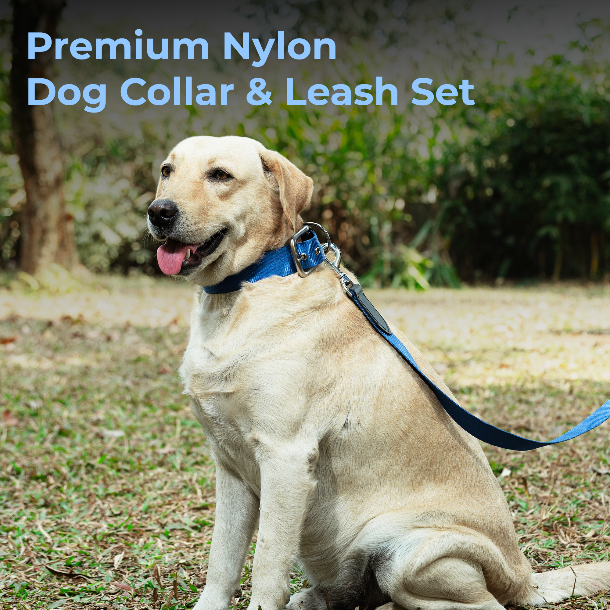Adil’s Nylon Dog Collar & Leash Combo Set 1.5 Inch Wide Adjustable Collar with Strong Metal Buckle & D-Ring, 5 Ft Durable Leash with 360° Swivel Hook Pets