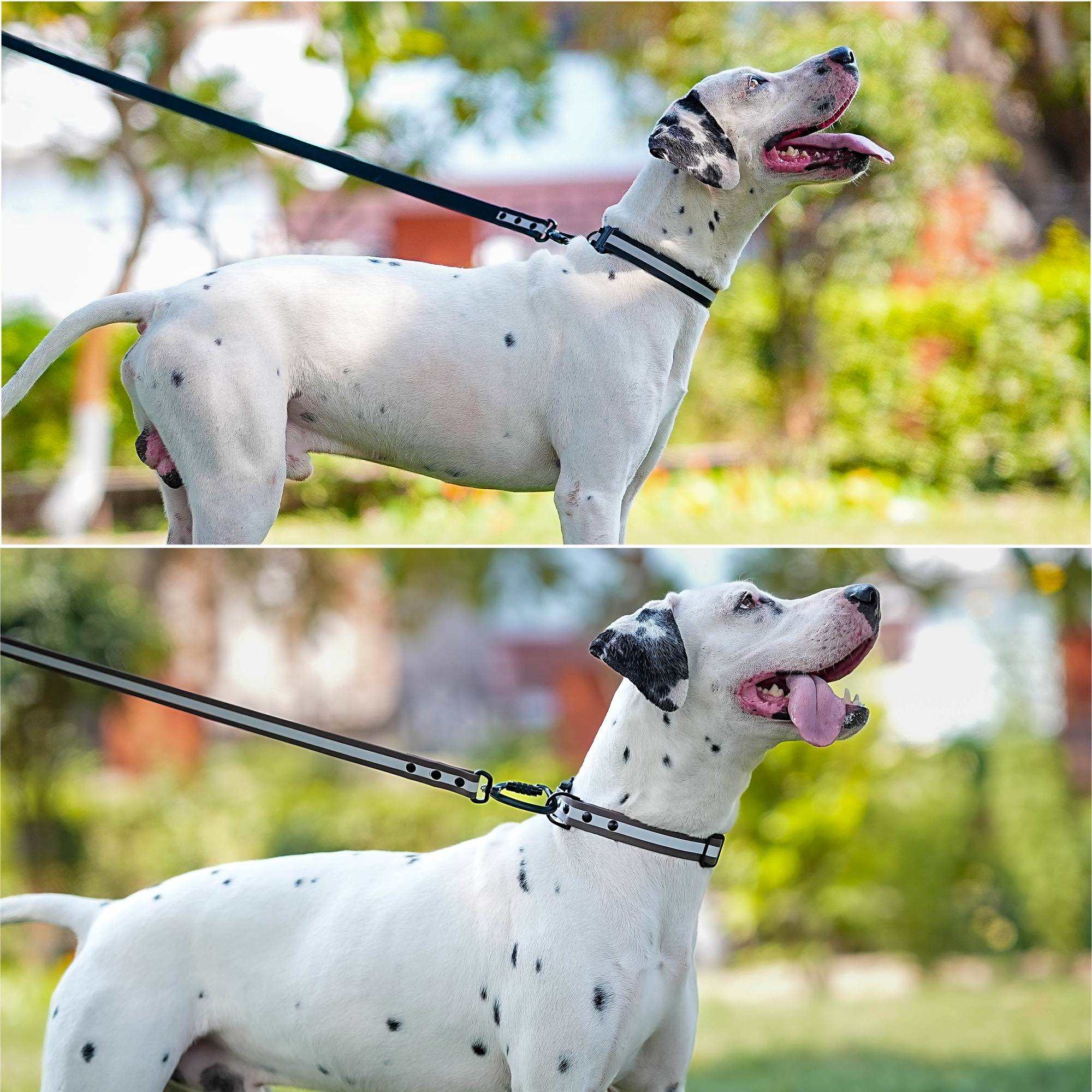 Adil'S Biothane Reflective Dog Collar 1 inch Width - Waterproof Heavy Duty Dog Collars with Quick Release Buckle & D-Ring for leashes Fits Small, Large & Medium Dogs