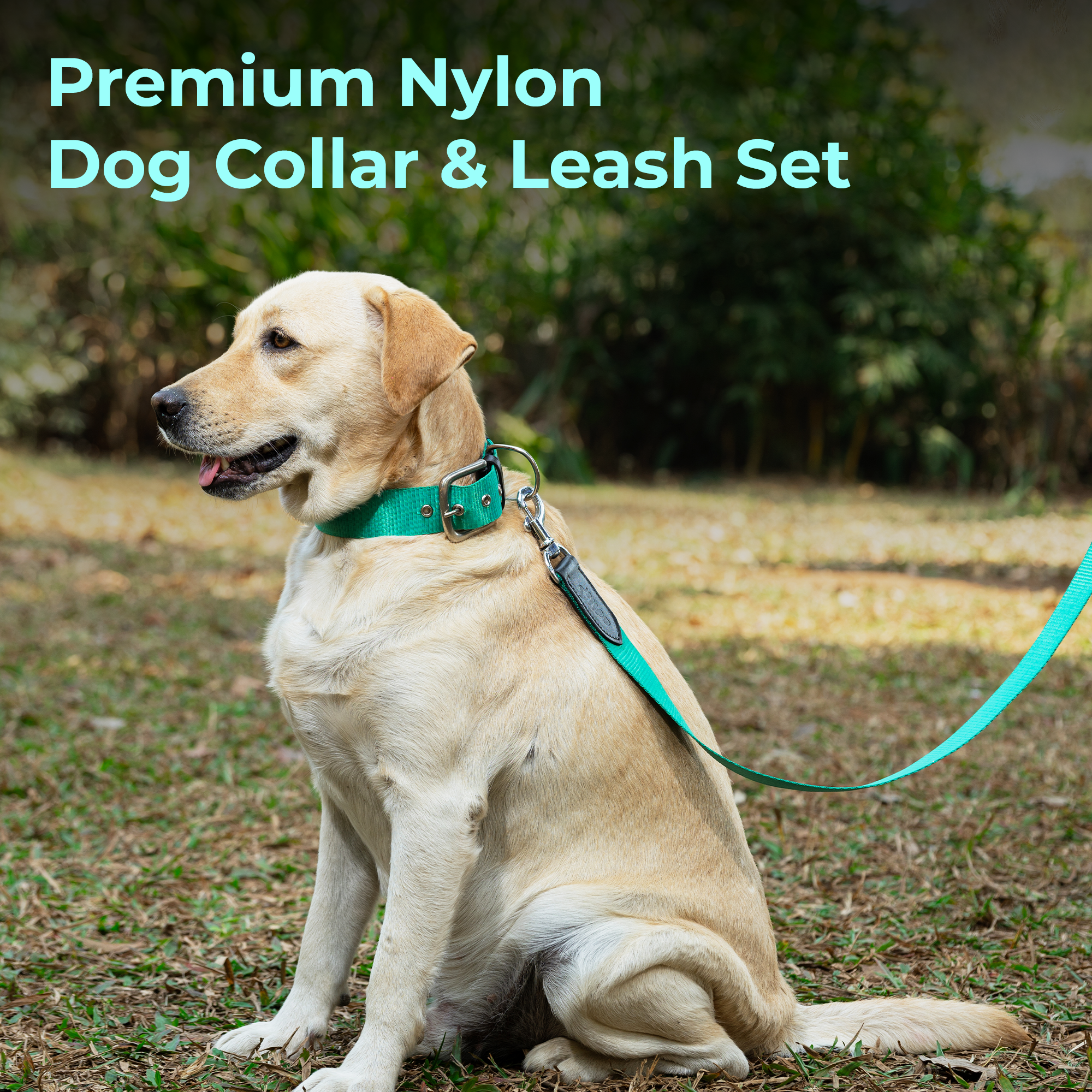 Adil’s Nylon Dog Collar & Leash Combo Set 1.5 Inch Wide Adjustable Collar with Strong Metal Buckle & D-Ring, 5 Ft Durable Leash with 360° Swivel Hook Pets