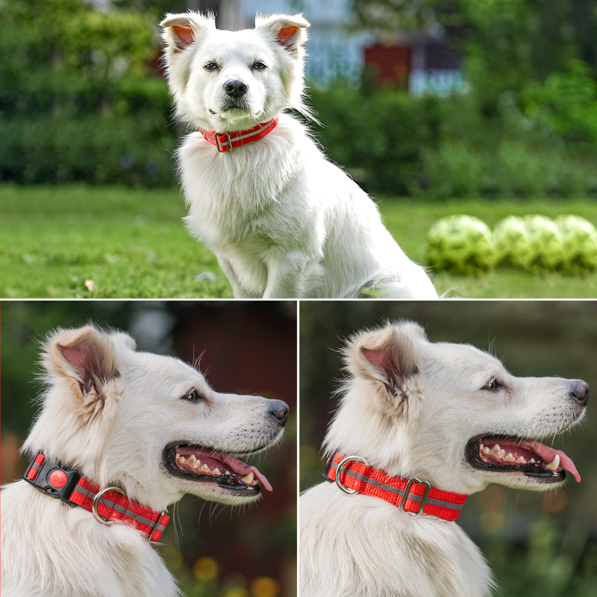Nylon Reflective Dog Collar 1 inch Width - Adjustable Heavy Duty Pet Collars with Quick Release Buckle & D-Ring for leashes