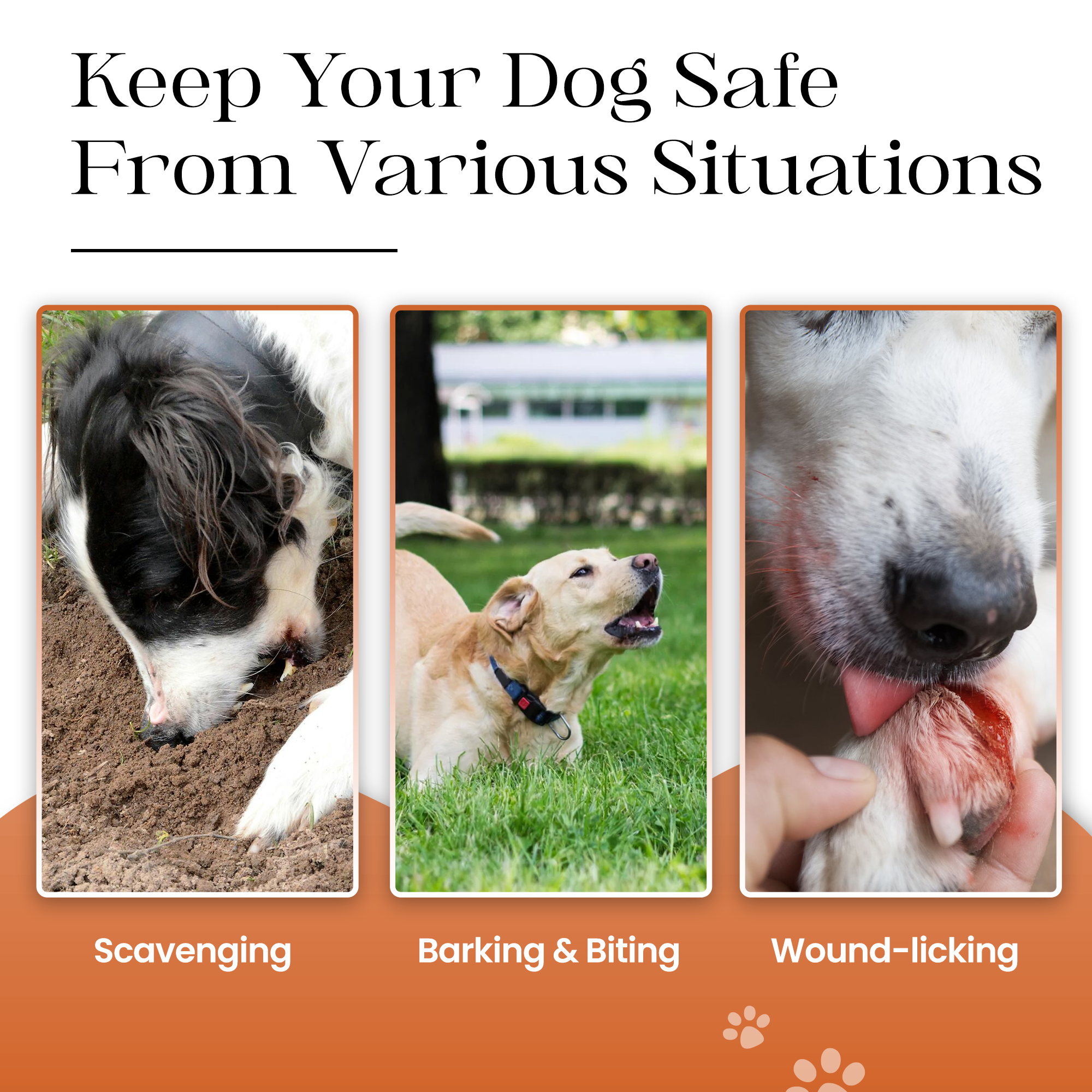 Adil's Soft Padded Steel Dog Muzzle – Comfortable & Durable Safety Solution