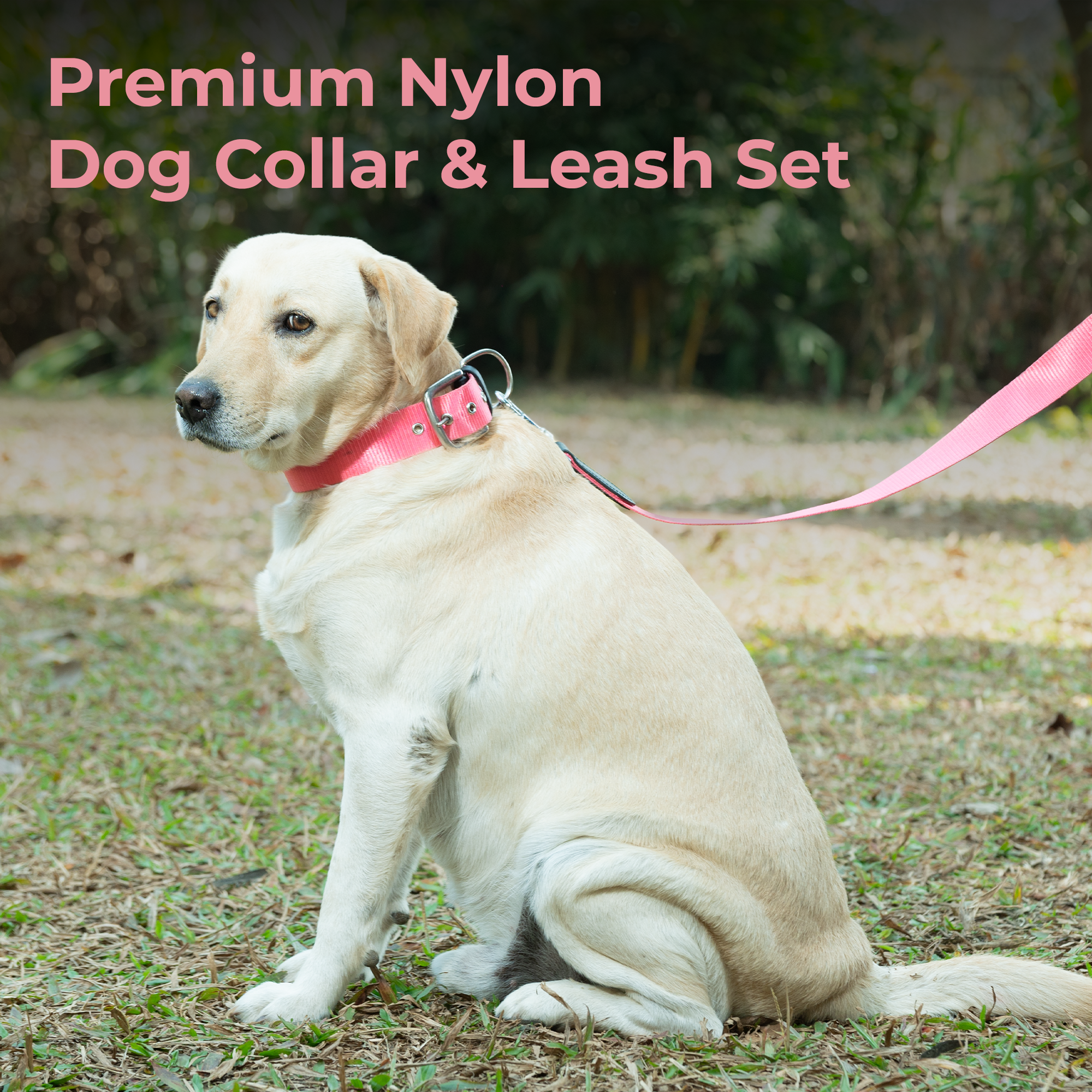 Adil’s Nylon Dog Collar & Leash Combo Set 1.5 Inch Wide Adjustable Collar with Strong Metal Buckle & D-Ring, 5 Ft Durable Leash with 360° Swivel Hook Pets