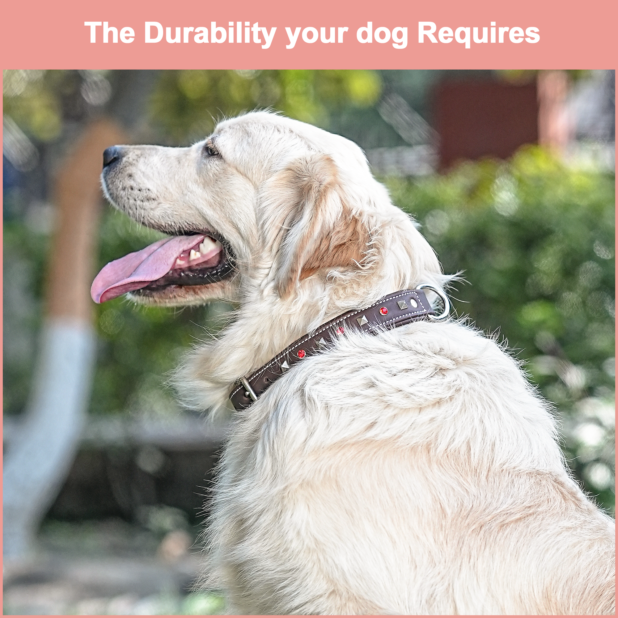 Adil's Premium Brown Leather Dog Collar with Red Crystals & Silver Studs - 1" Wide, Adjustable 12"-26" Neck, Metal Buckle & D-Ring