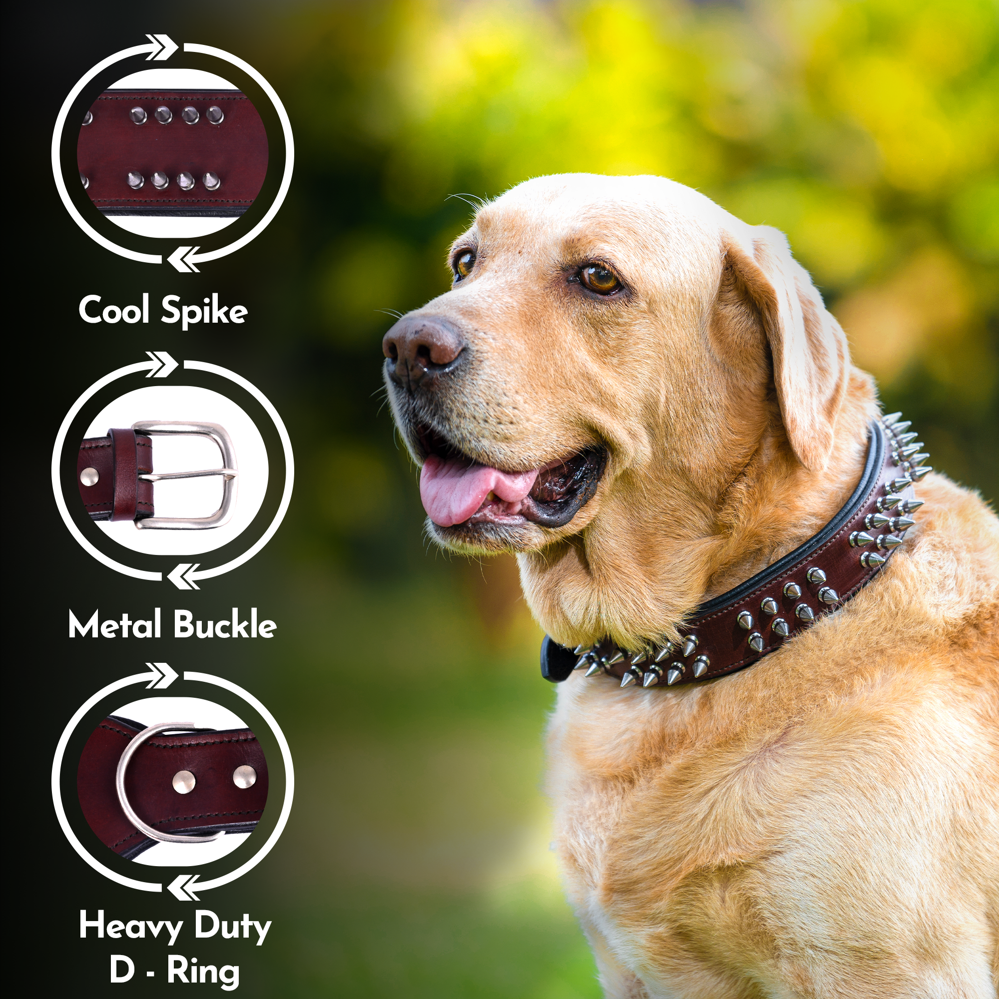 2-Inch Wide Spiked Leather Dog Collar for Pitbulls, Mastiffs, Street Hounds, and Huskies