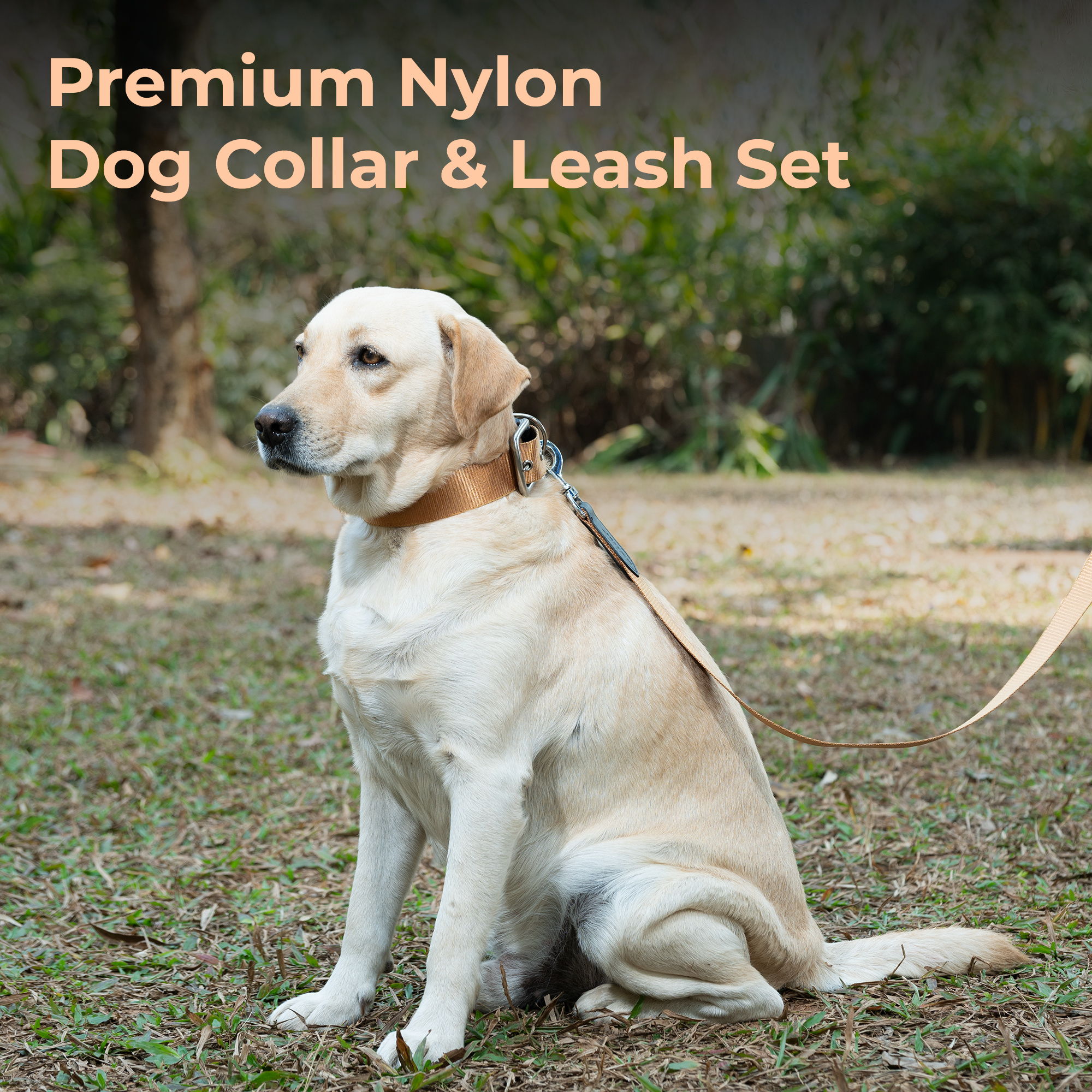 Adil’s Nylon Dog Collar & Leash Combo Set 1.5 Inch Wide Adjustable Collar with Strong Metal Buckle & D-Ring, 5 Ft Durable Leash with 360° Swivel Hook Pets