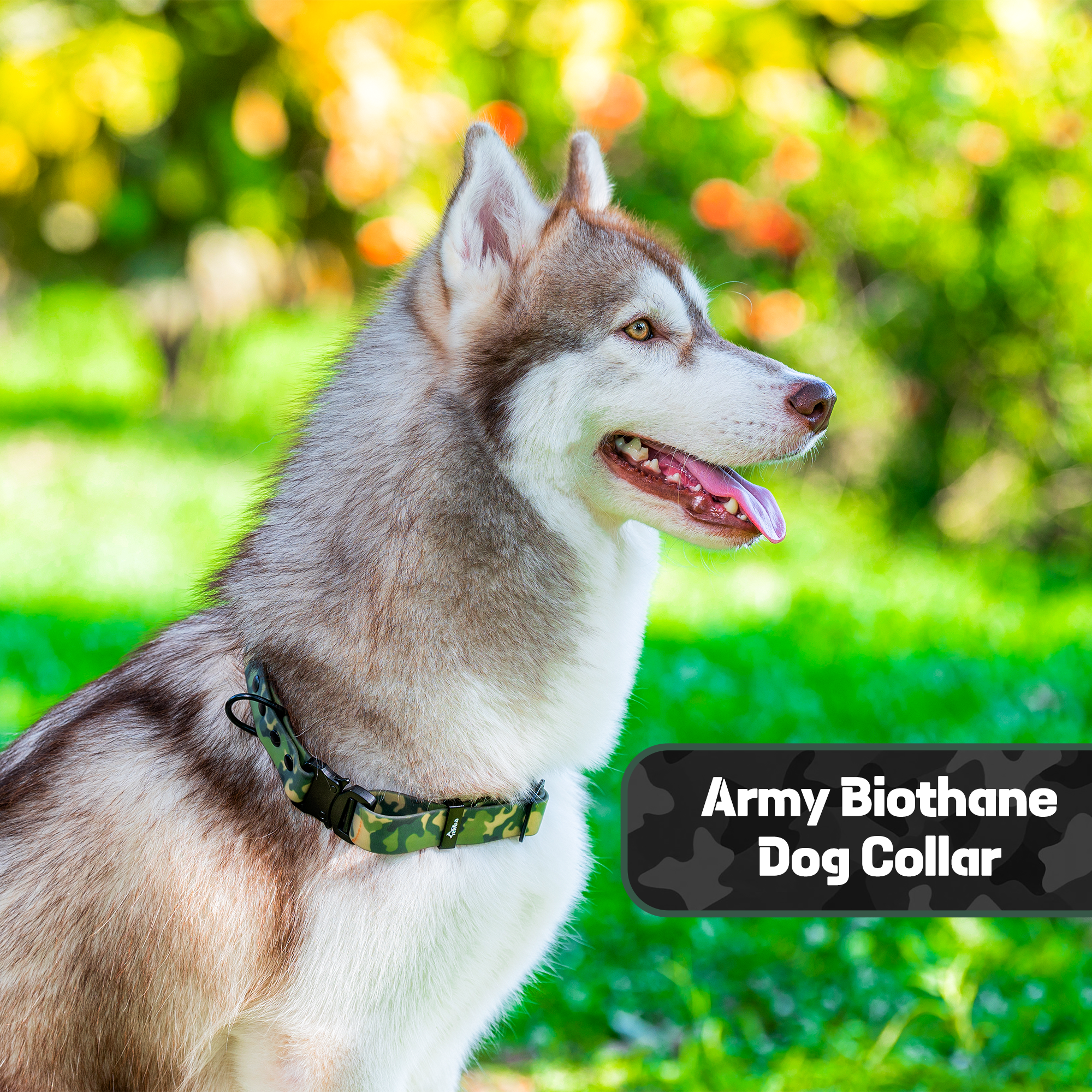 Adil’s Army Biothane Dog Collar – Waterproof, Durable, Adjustable Buckle & D-Ring (M & L)