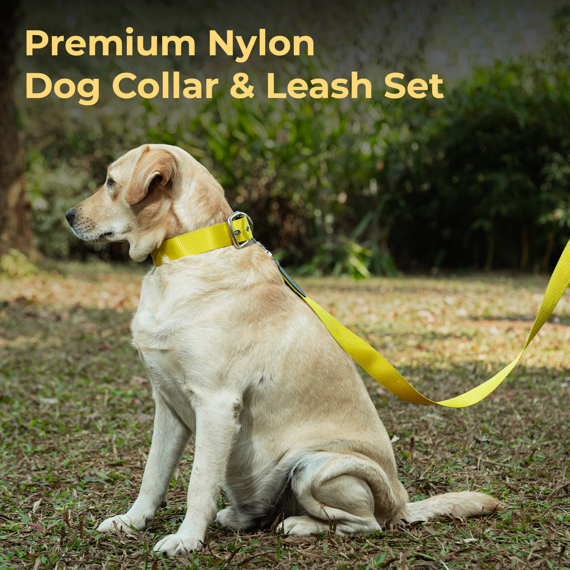 Adil’s Nylon Dog Collar & Leash Combo Set 1.5 Inch Wide Adjustable Collar with Strong Metal Buckle & D-Ring, 5 Ft Durable Leash with 360° Swivel Hook Pets